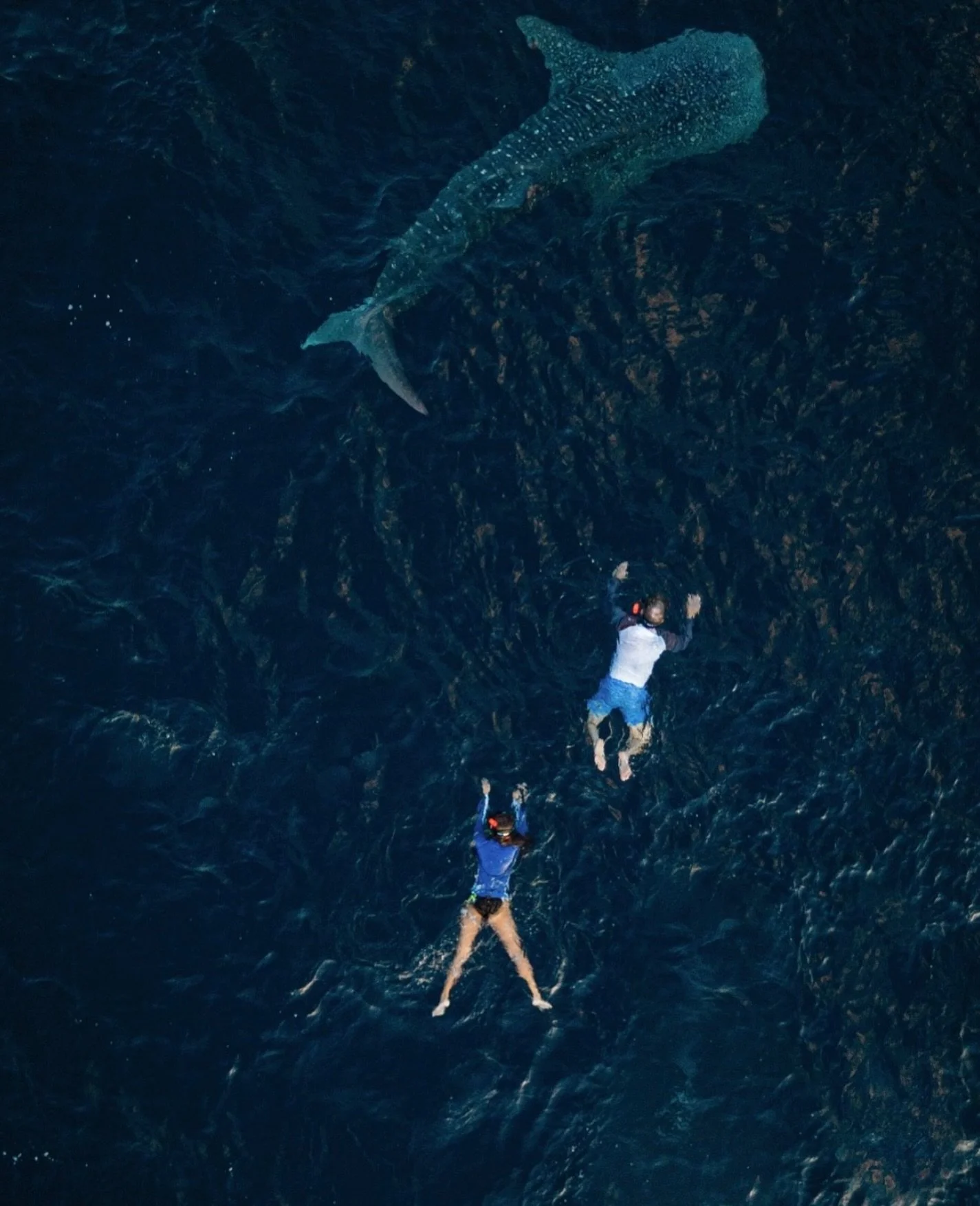 Sailing with purpose 

Across every Aqua Expeditions X TTI Travel journey, thoughtful sustainability practices help protect the extraordinary places we explore- from the Amazon and Mekong to the Gal&aacute;pagos and beyond.

Through responsible opera