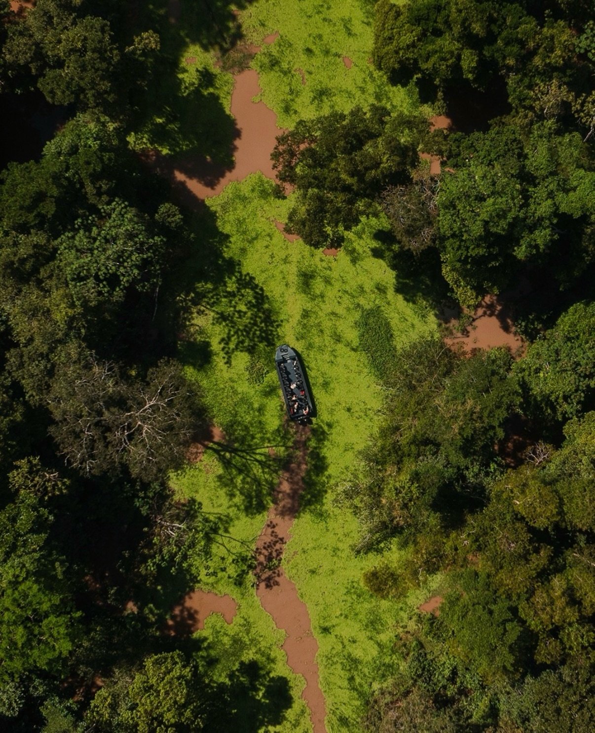 When we journeyed into the Amazon with @aqua_expeditions in March of this year, we understood that the Aqua Nera is the ONLY way to see this region and experience the authenticity of transformative travel 🤎

Are you looking for your next adventure? 