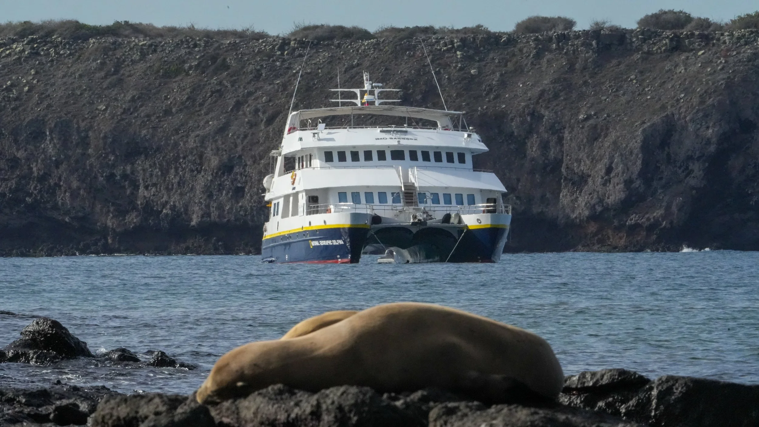 LEX-Ecuador Galapagos Islands - Ship NG Delfina - FR169.jpg