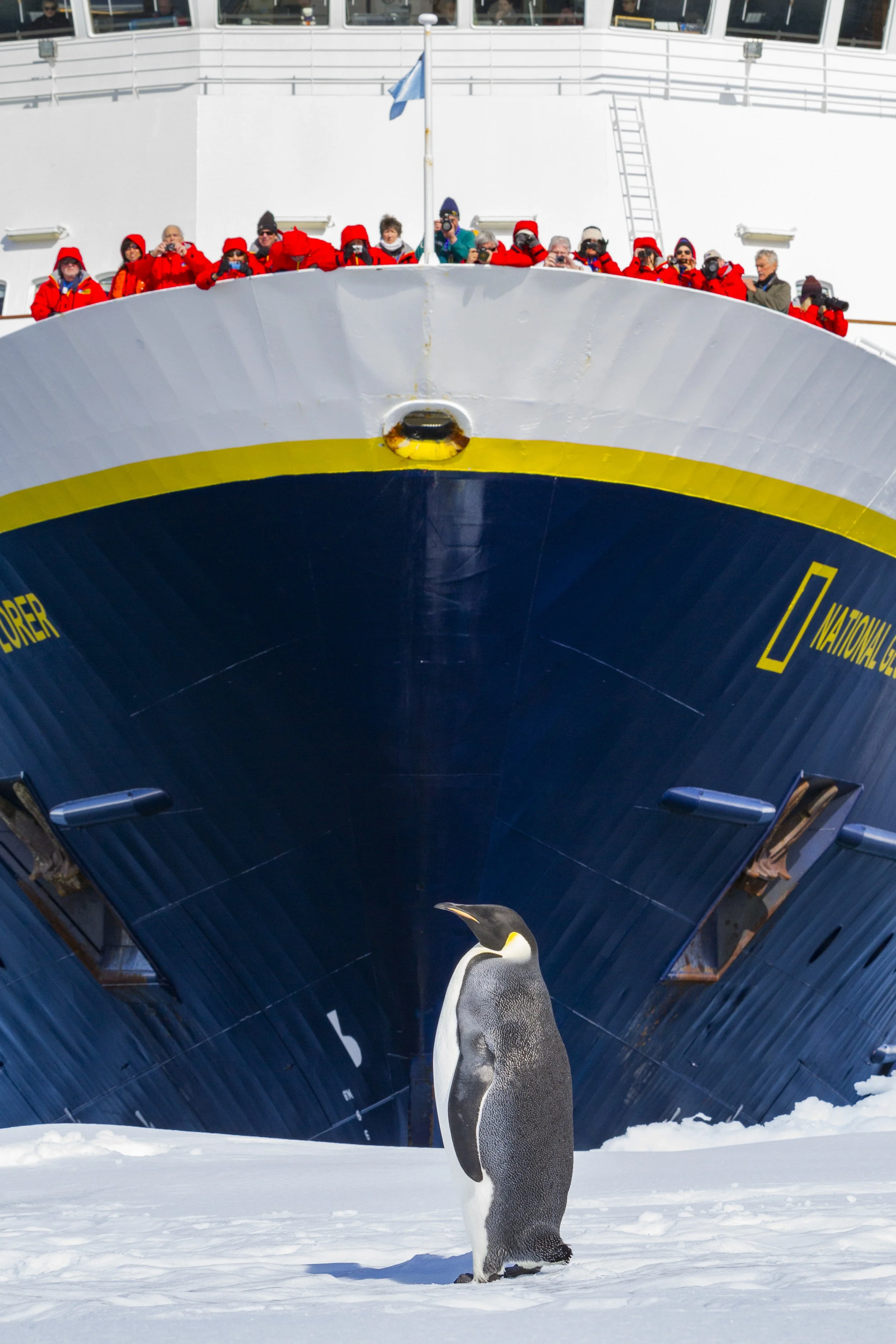 LEX-Ship NG Explorer Exterior - Antarctica MSN11-008.jpg