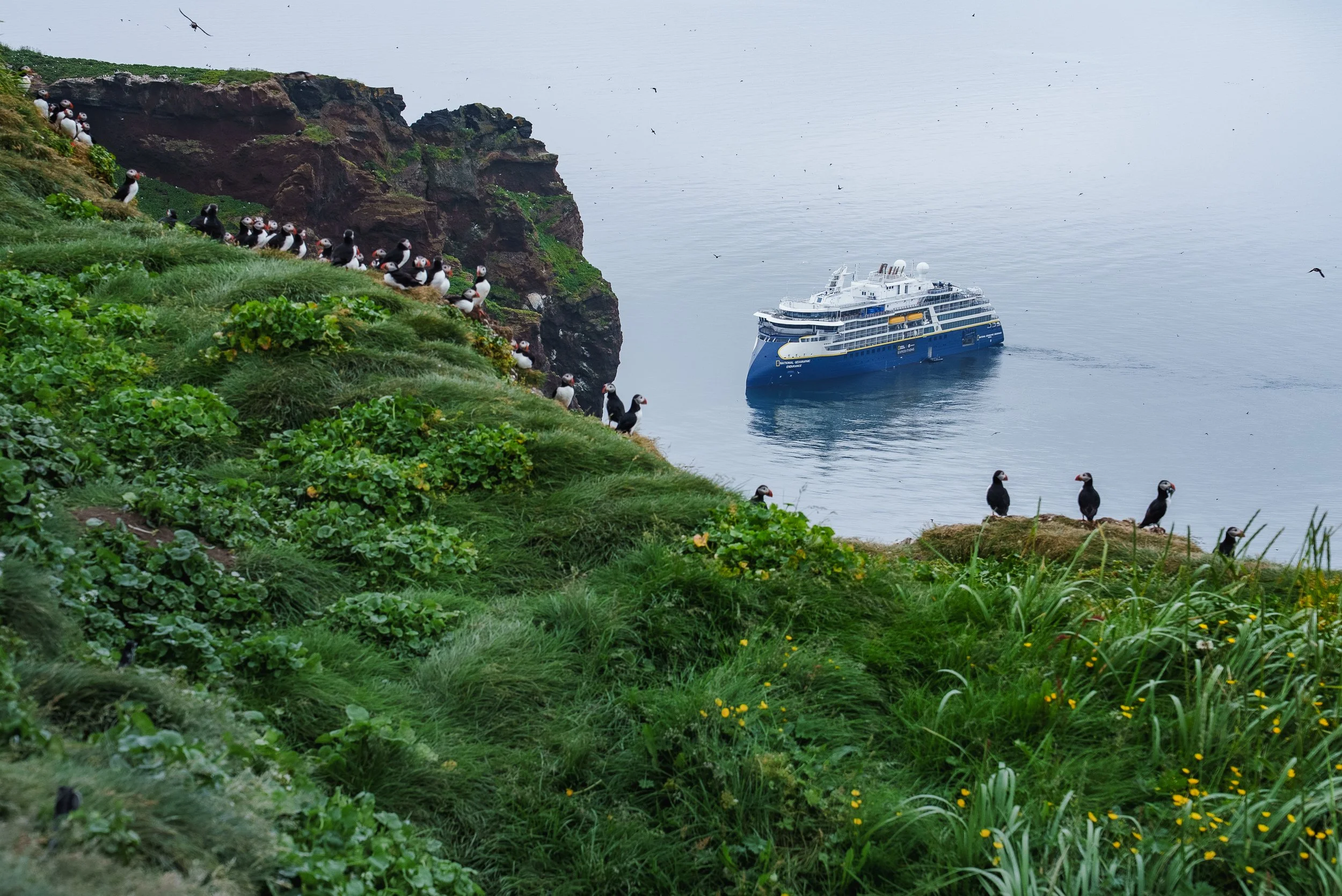 LEX-Ship NG Endurance Exterior Iceland JVF2600.jpg