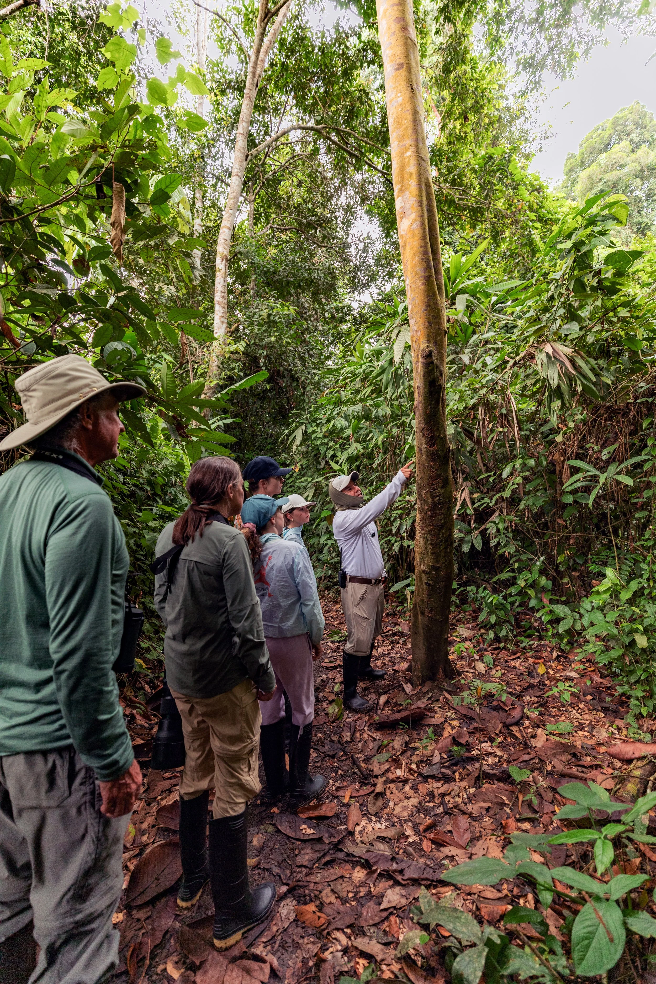 amazon_activity-jungle-trekking_0006.jpg