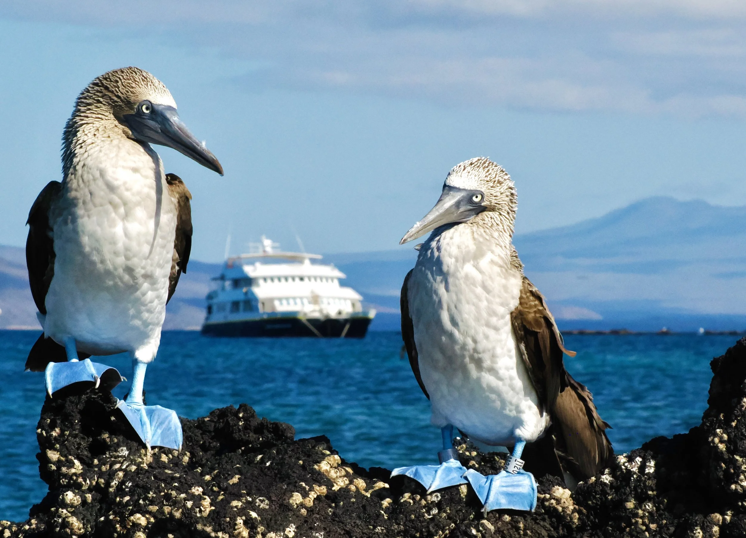 LEX-Ecuador Galapagos Islands - Ship NG Delfina Exterior - OADA182605-PC310310.jpeg