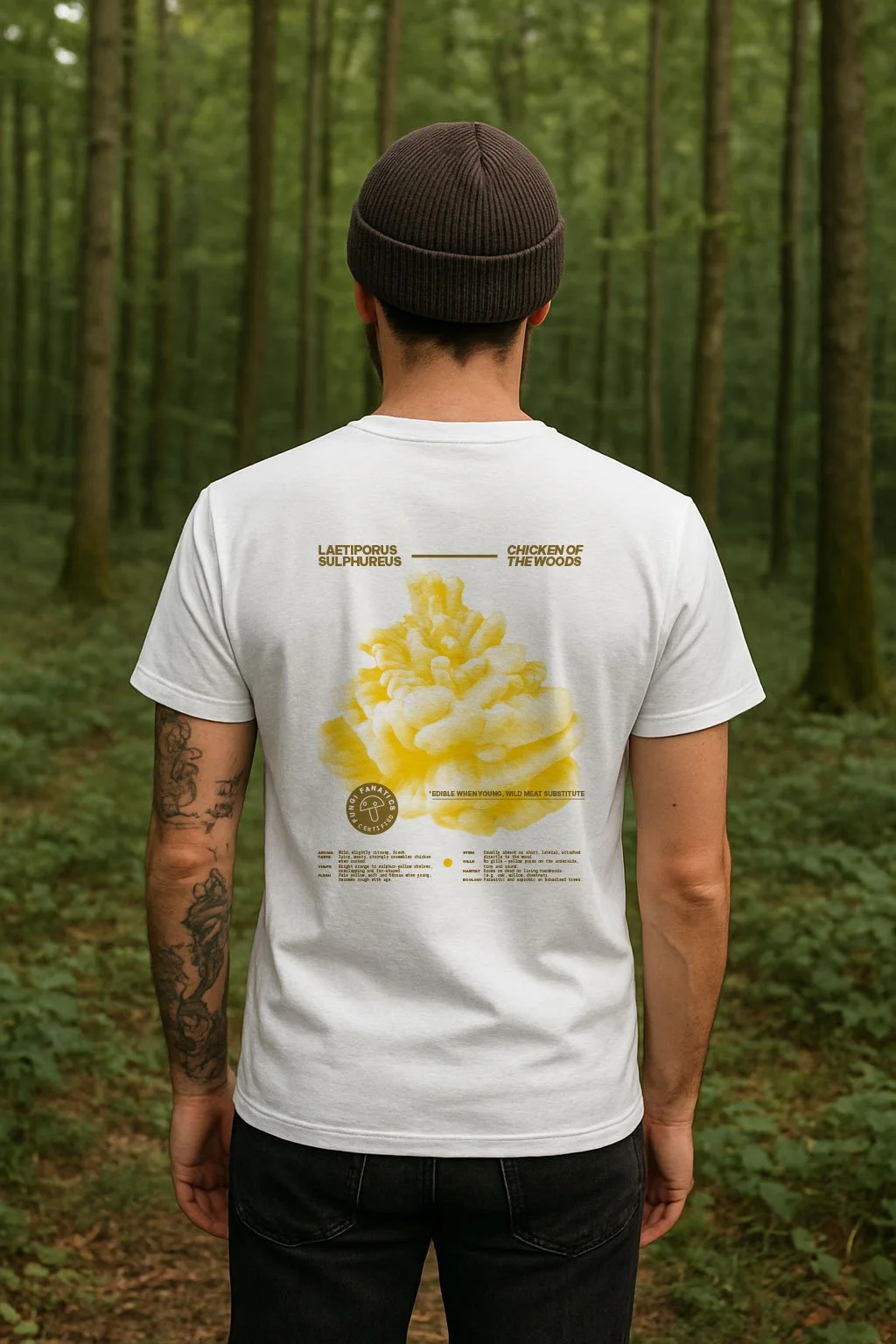 laetiporus_sulphureus.jpg