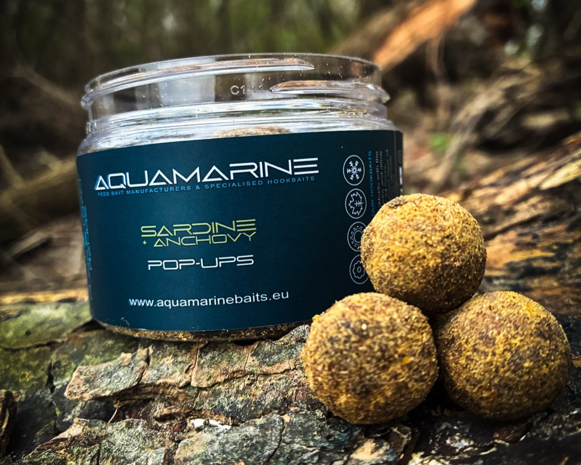 A container of Aquamarine Sardine & Anchovy Pop-Ups fishing bait placed on a fallen tree branch with three round, brown fishing bait balls next to it in an outdoor, wooded setting.