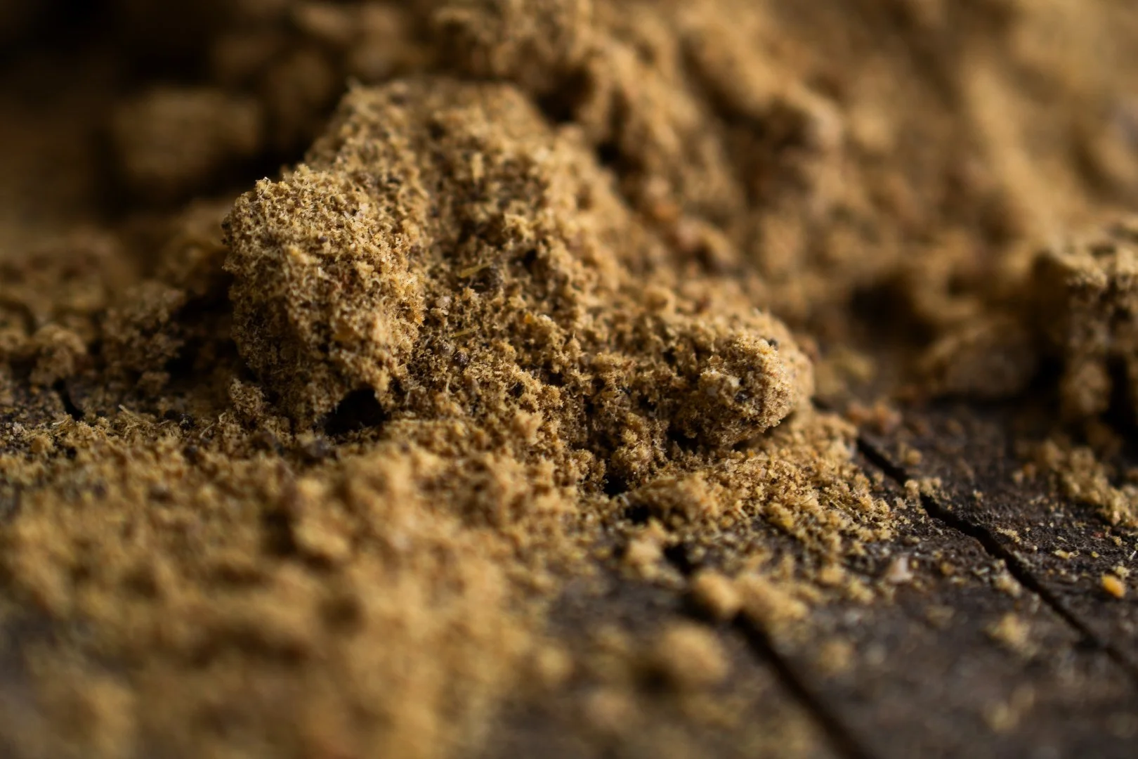 Atlantic Tuna Powder 2.JPG