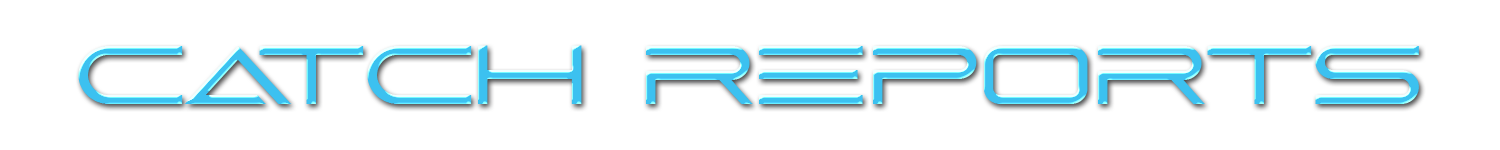 Catch Reports logo in blue neon-style text on a black background.
