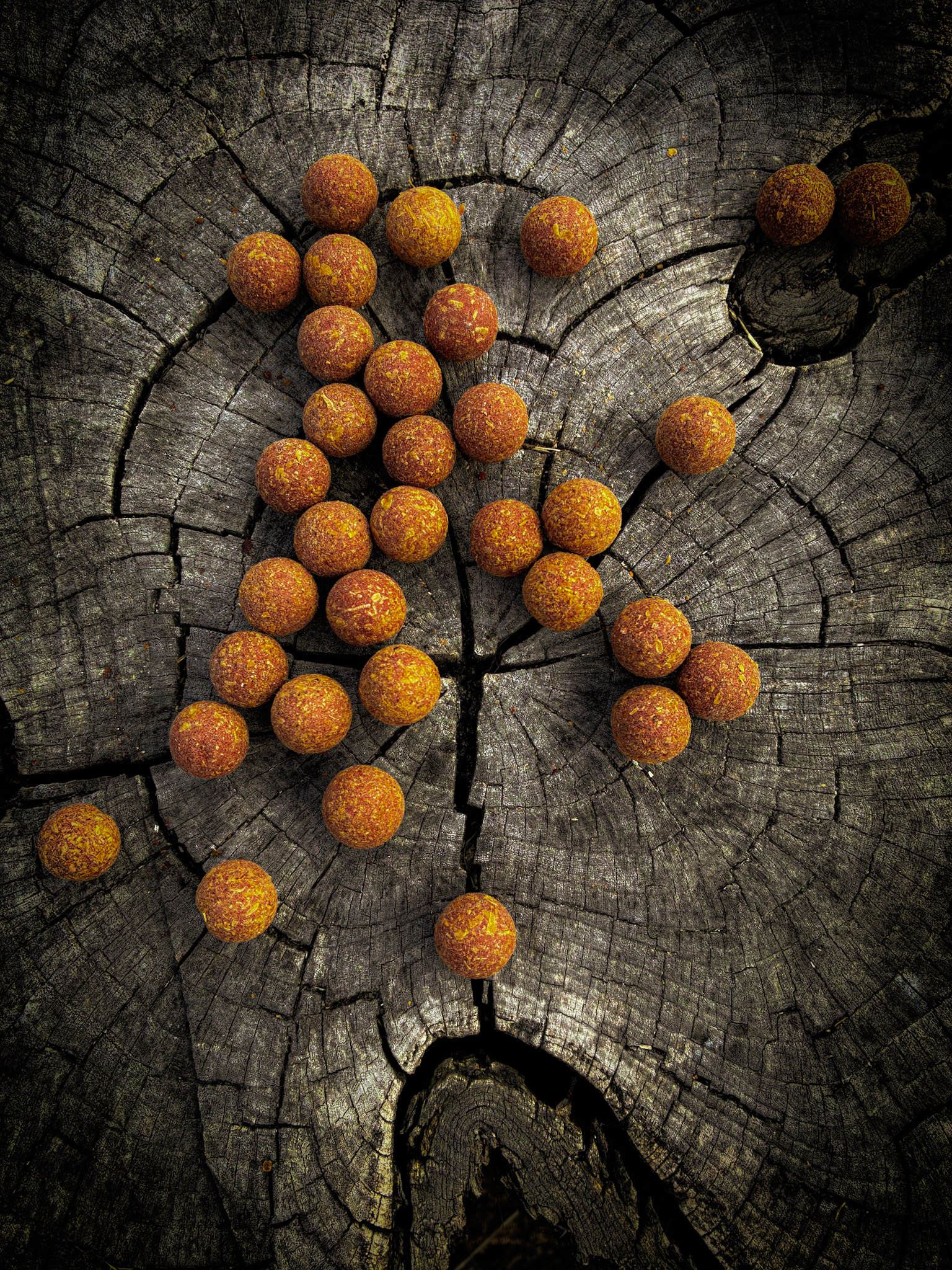 Shellfish S:A + Garlic.png