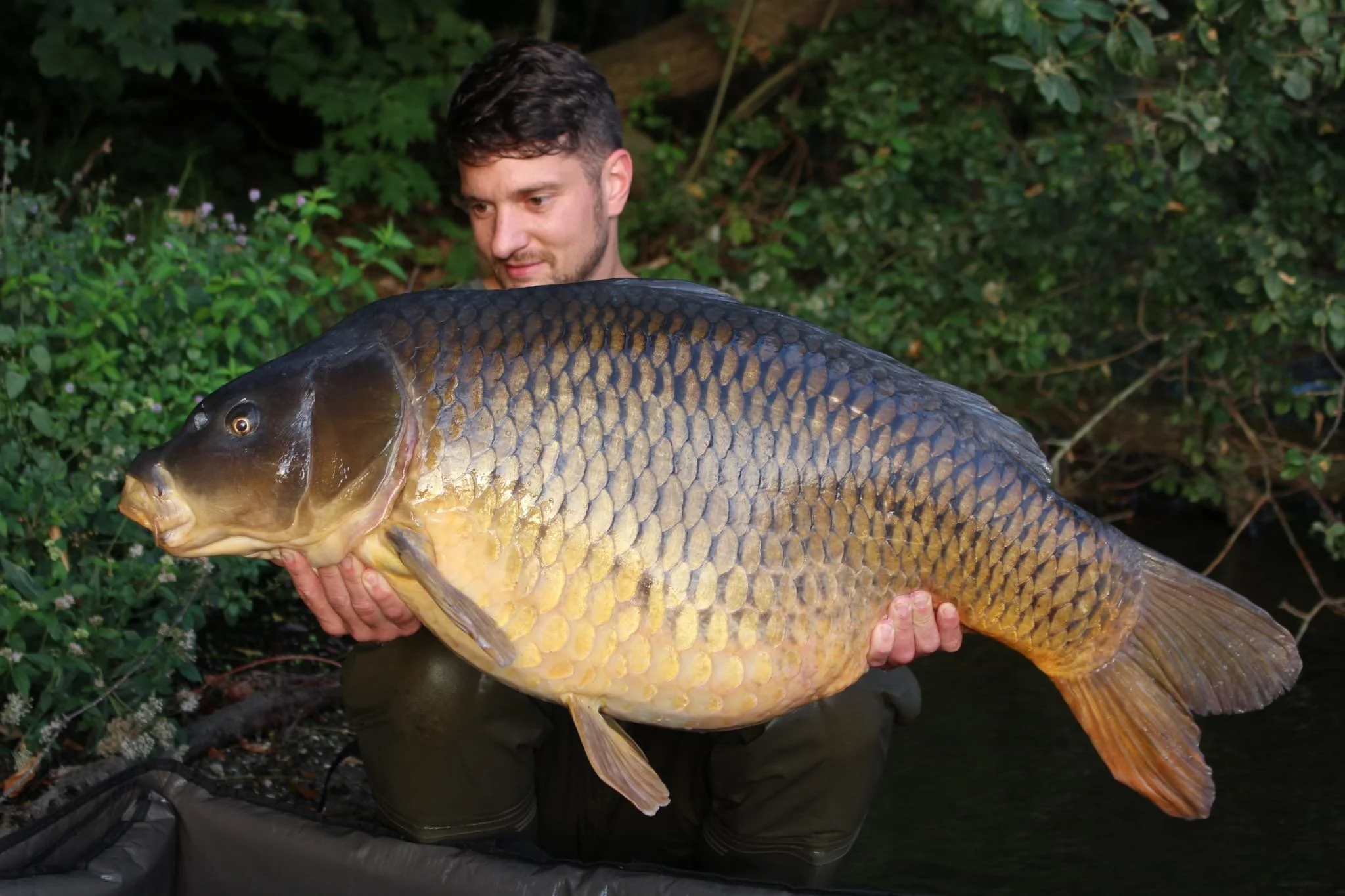 Lars 26kg.jpg
