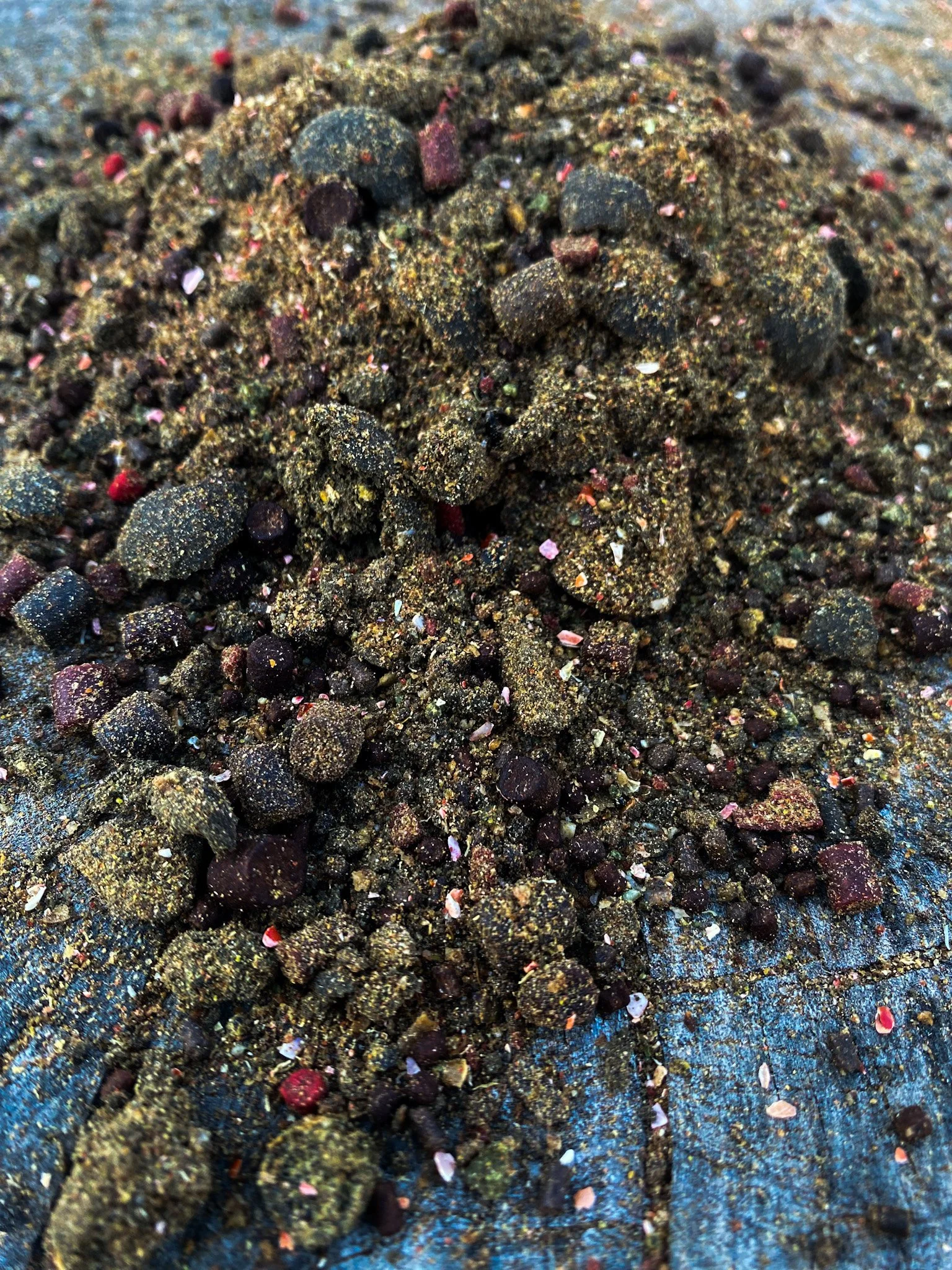 Black Lobster Crush.jpg