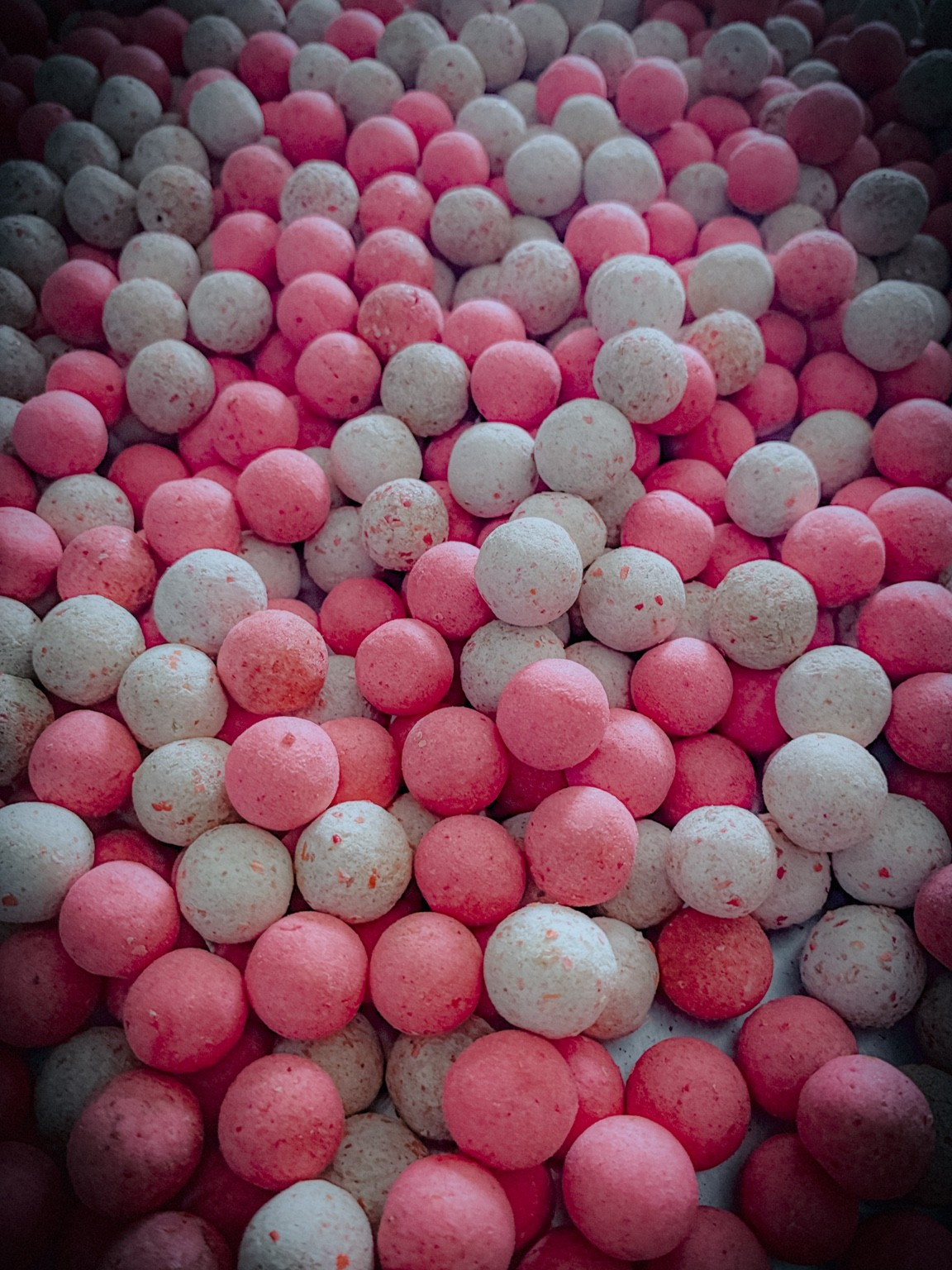 Black Lobster Fluoro Pop-Ups