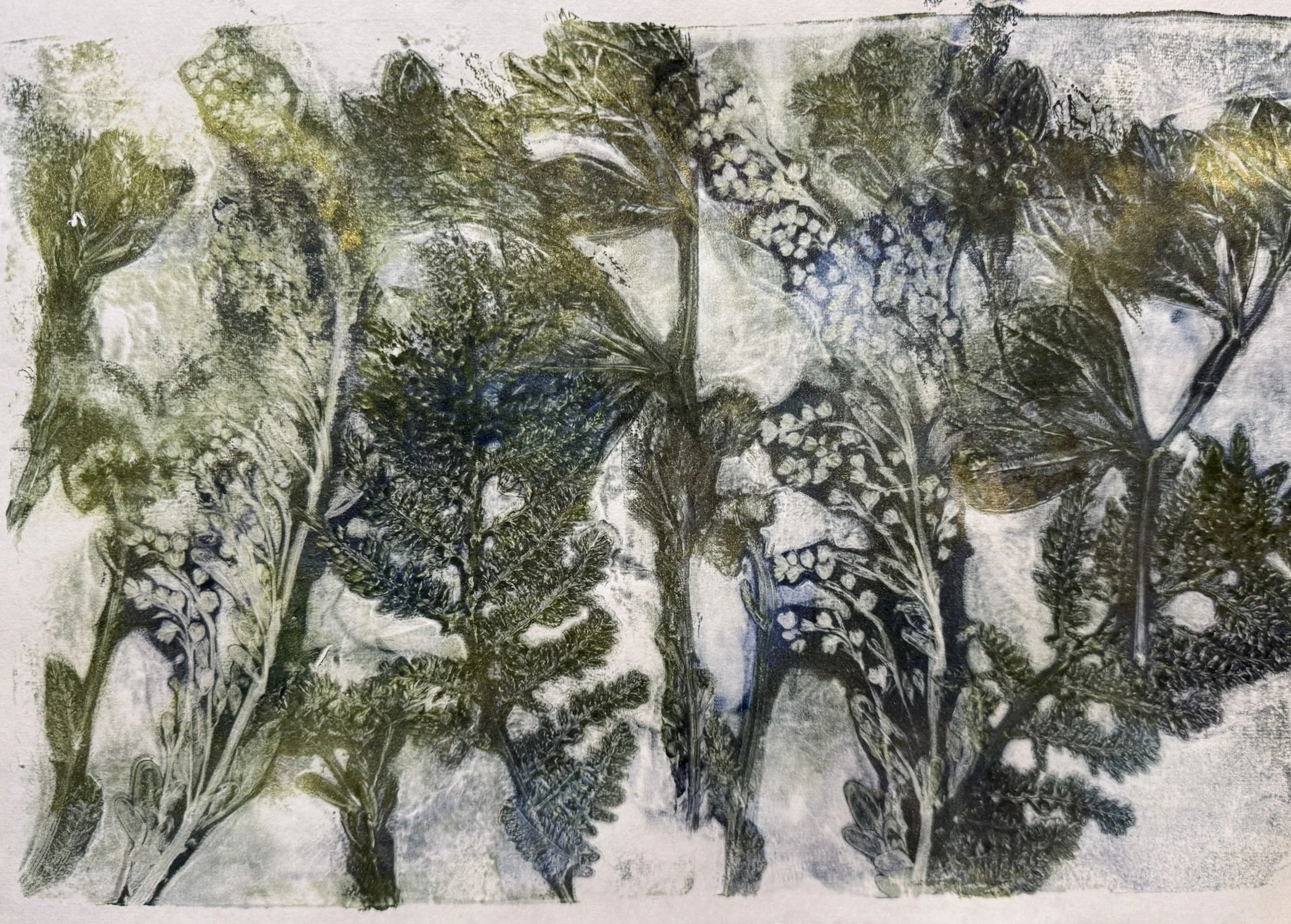 Pilfered from their Garden, monotype, 12 x 18 framed, $250 