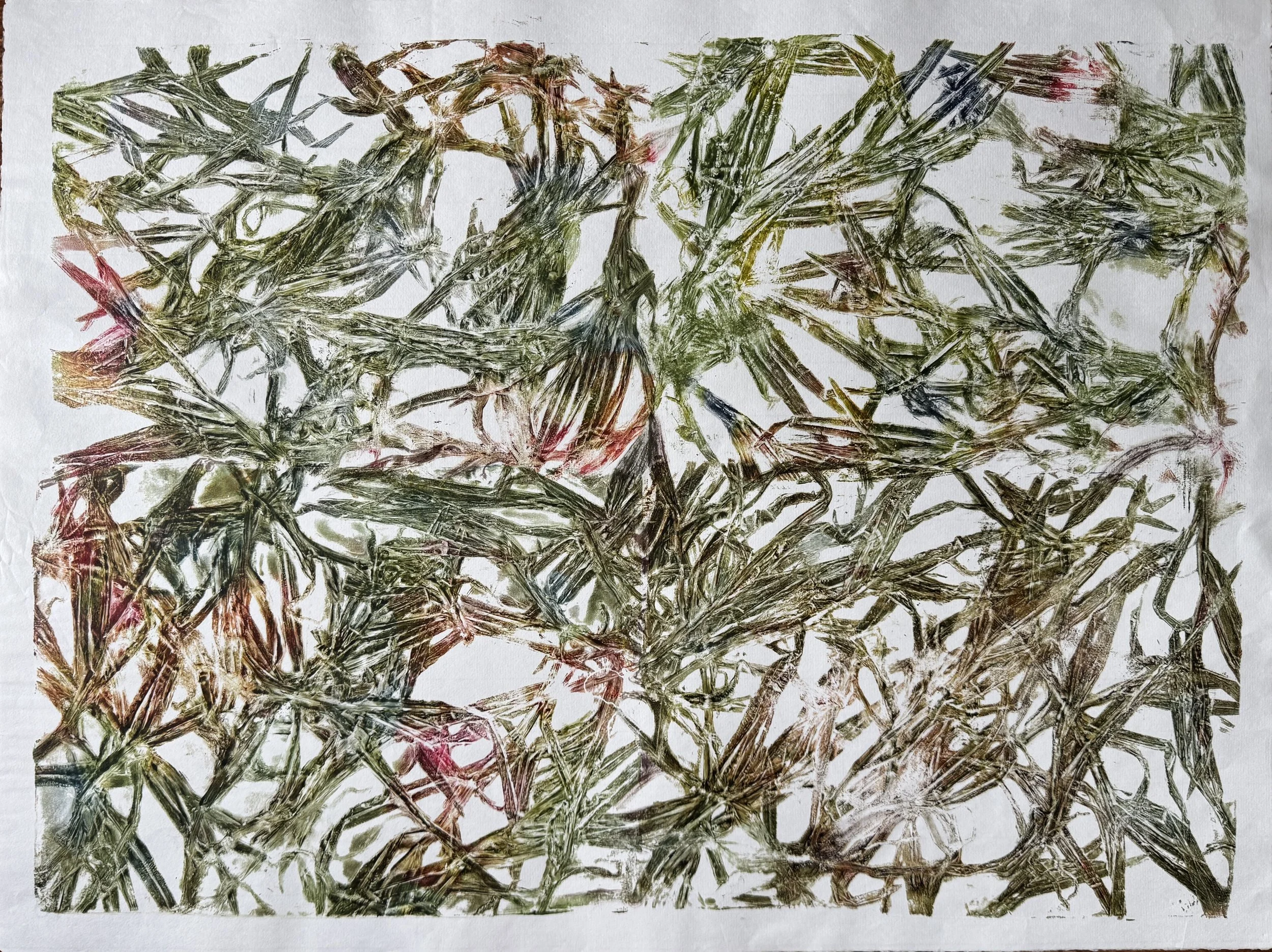 Crabgrass: the weeds I pull look like the noise inside my head, Monotype, 18 x 24, $400