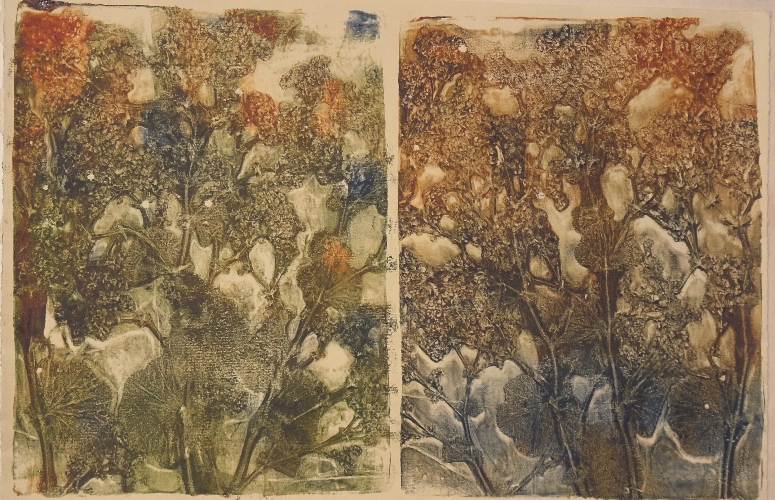 Lady’s Mantle Has  a Softness that Belies her Strength,  monotype, 15 x 22 inches $300.