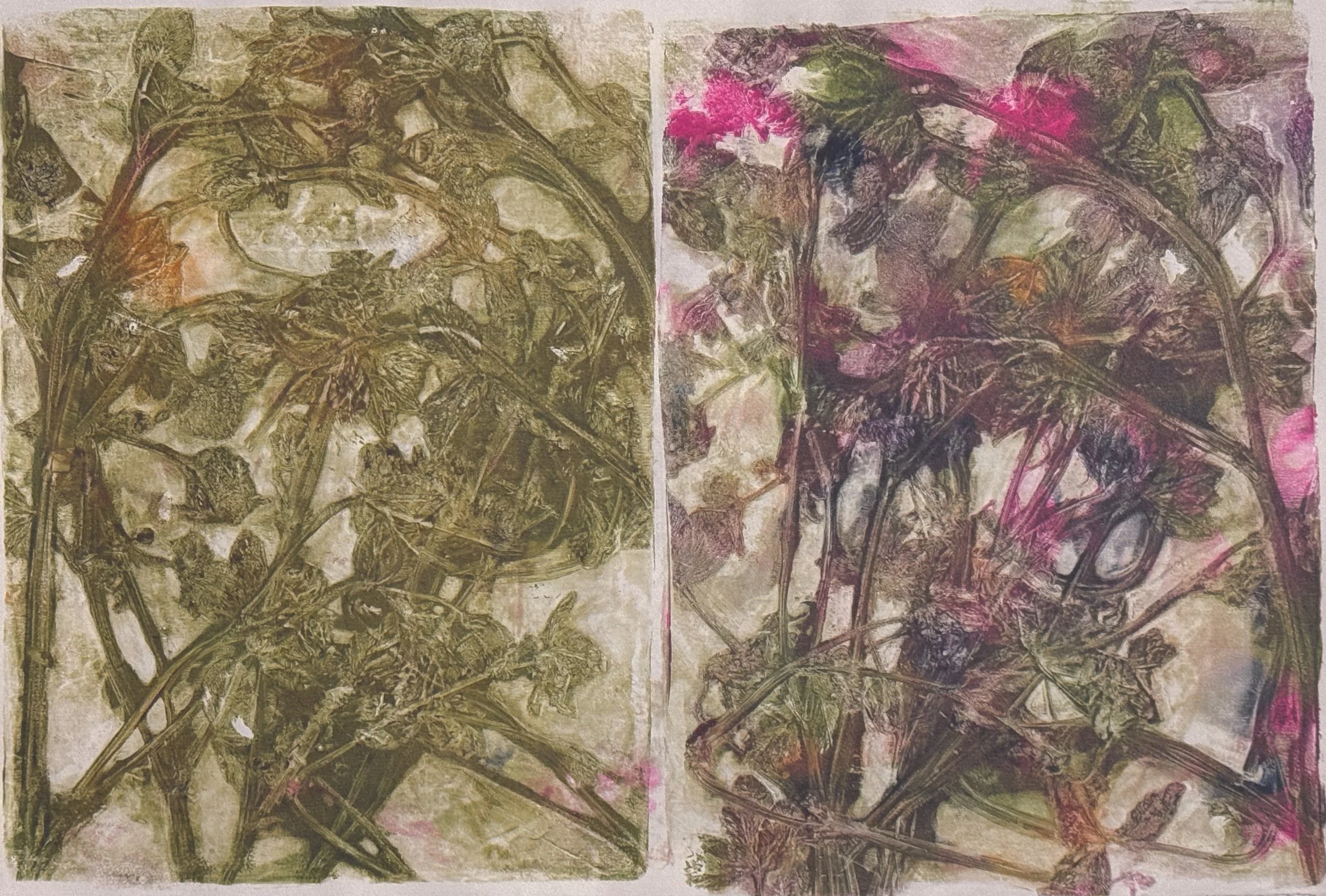 Summer Meadow: Clover, monotype, 15 x 22, $200.