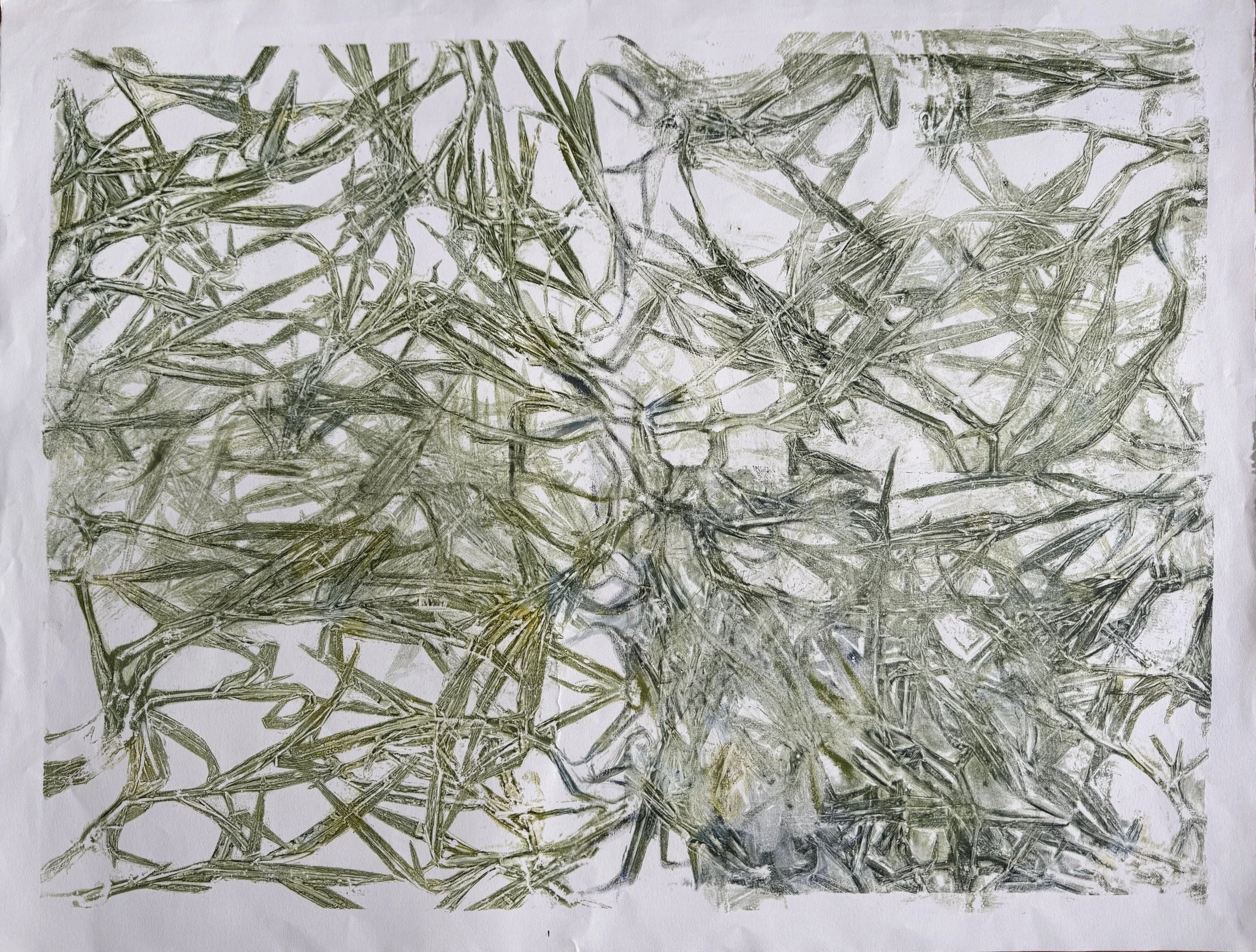 Our political system has turned into a Tangled Web of Crabgrass, monotype, 18 x 24 inches, $400

