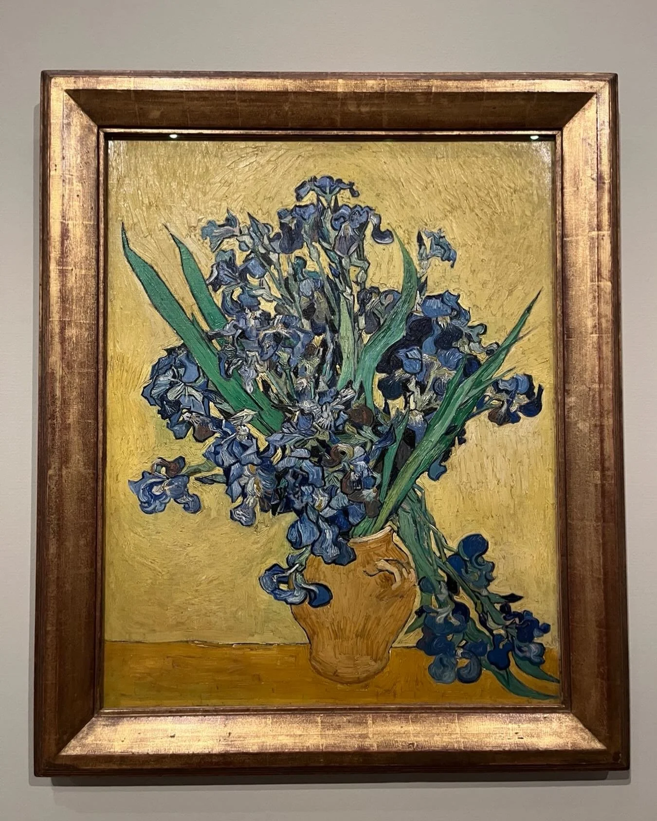 Van Gogh Museum. Surprisingly moving. I have a VG iris tattoo that I got to celebrate tenure, almost 30 years ago