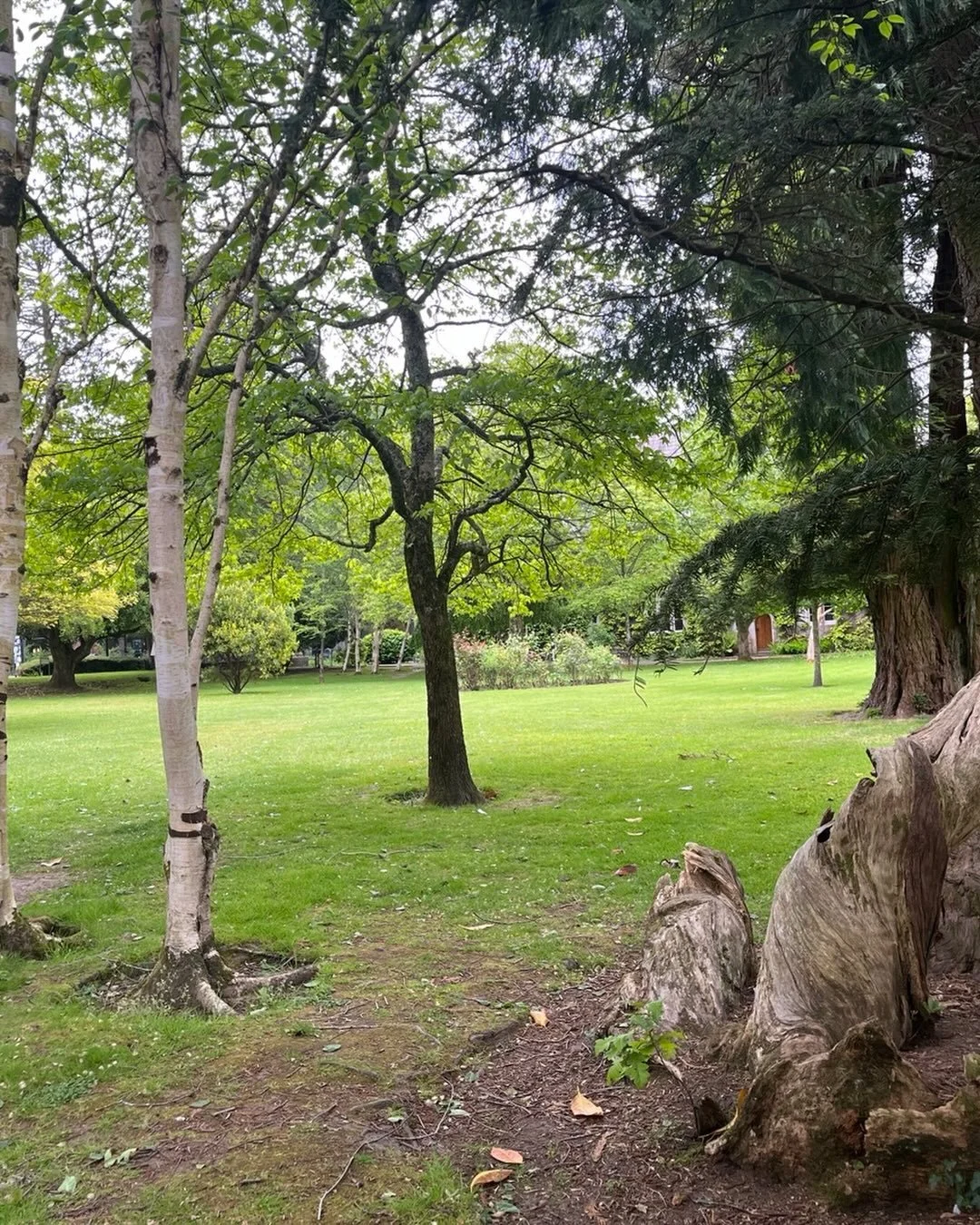 University College Cork, LESBIAN LIVES conference. We have deep roots, strong trunks, and spreading branches. We breathe with the earth.