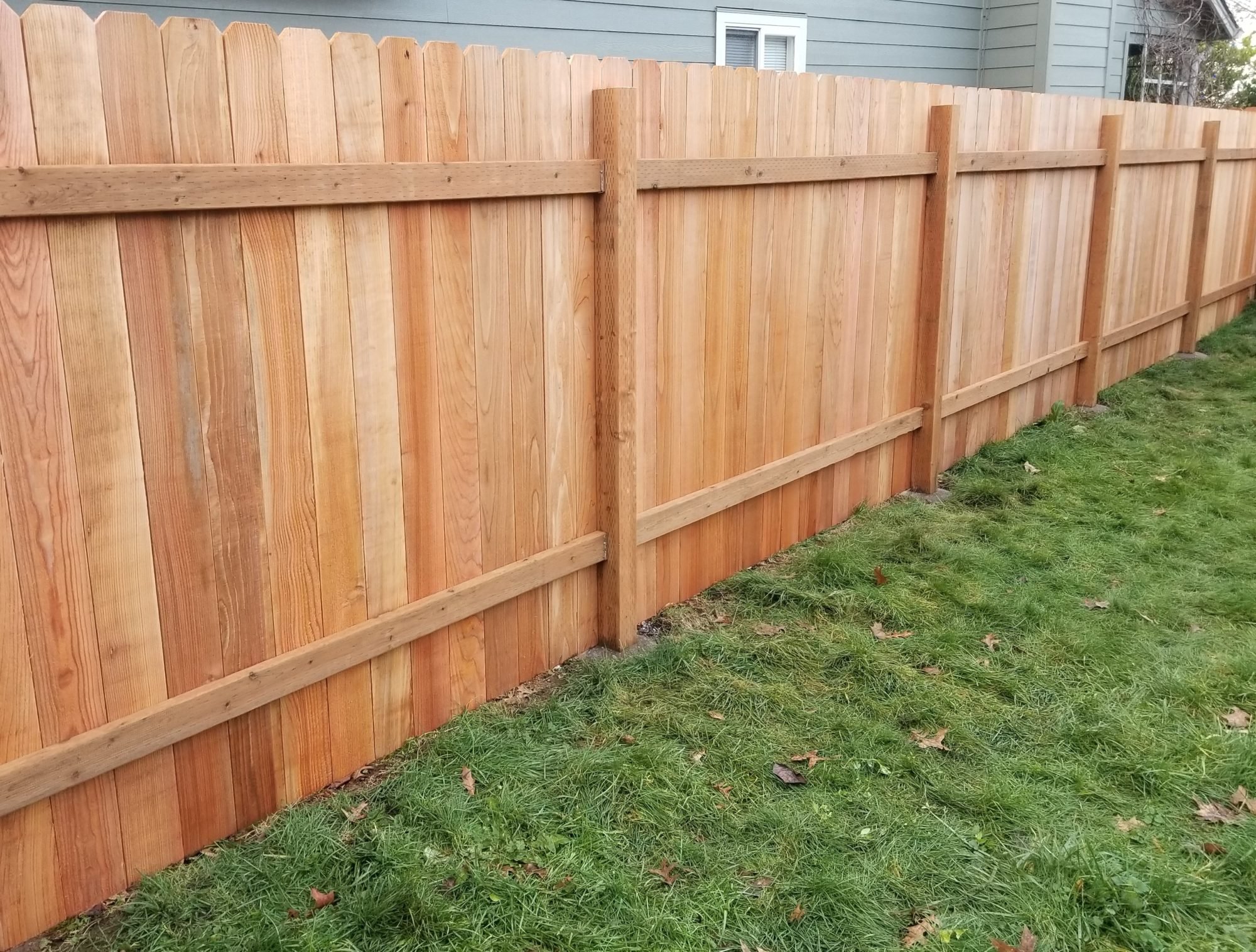 Fence.jpg