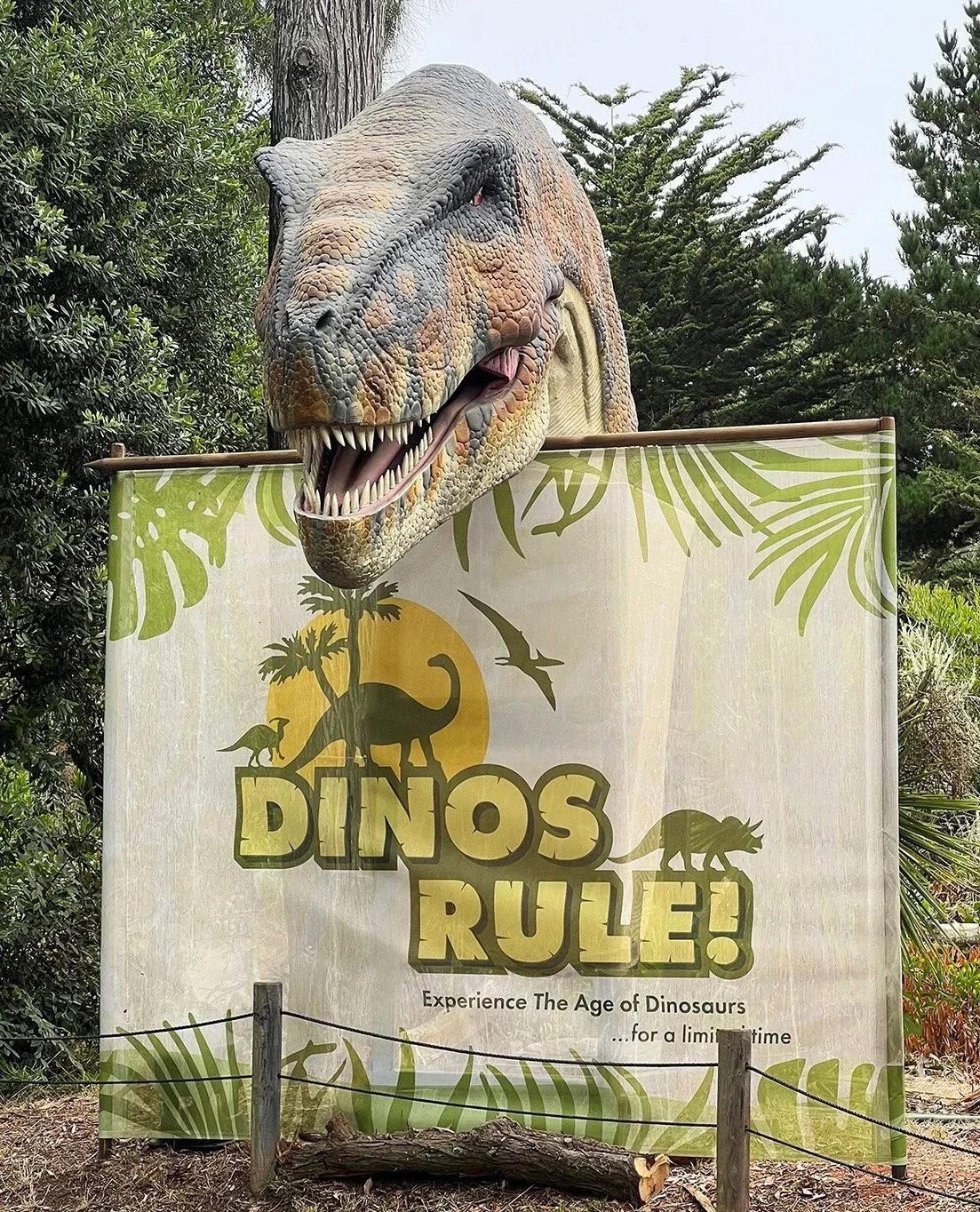 San Francisco Zoo