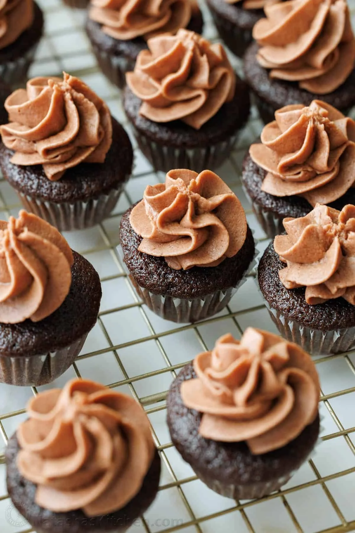 Mini-Chocolate-Cupcakes-4.jpg