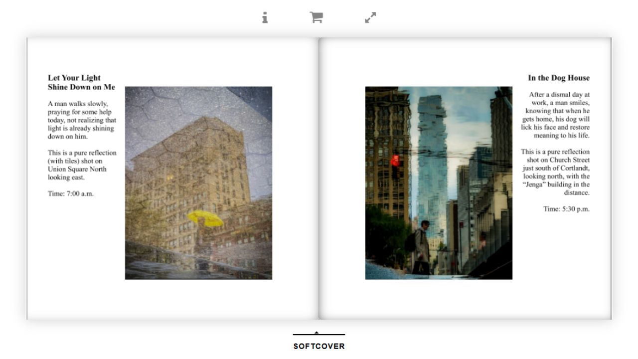 Open book showing two pages with photographs and text; left page has photo of a building reflected in water with a yellow umbrella, titled "Let Your Light Shine Down on Me", and right page has photo of city buildings with a man walking, titled "In the Dog House".