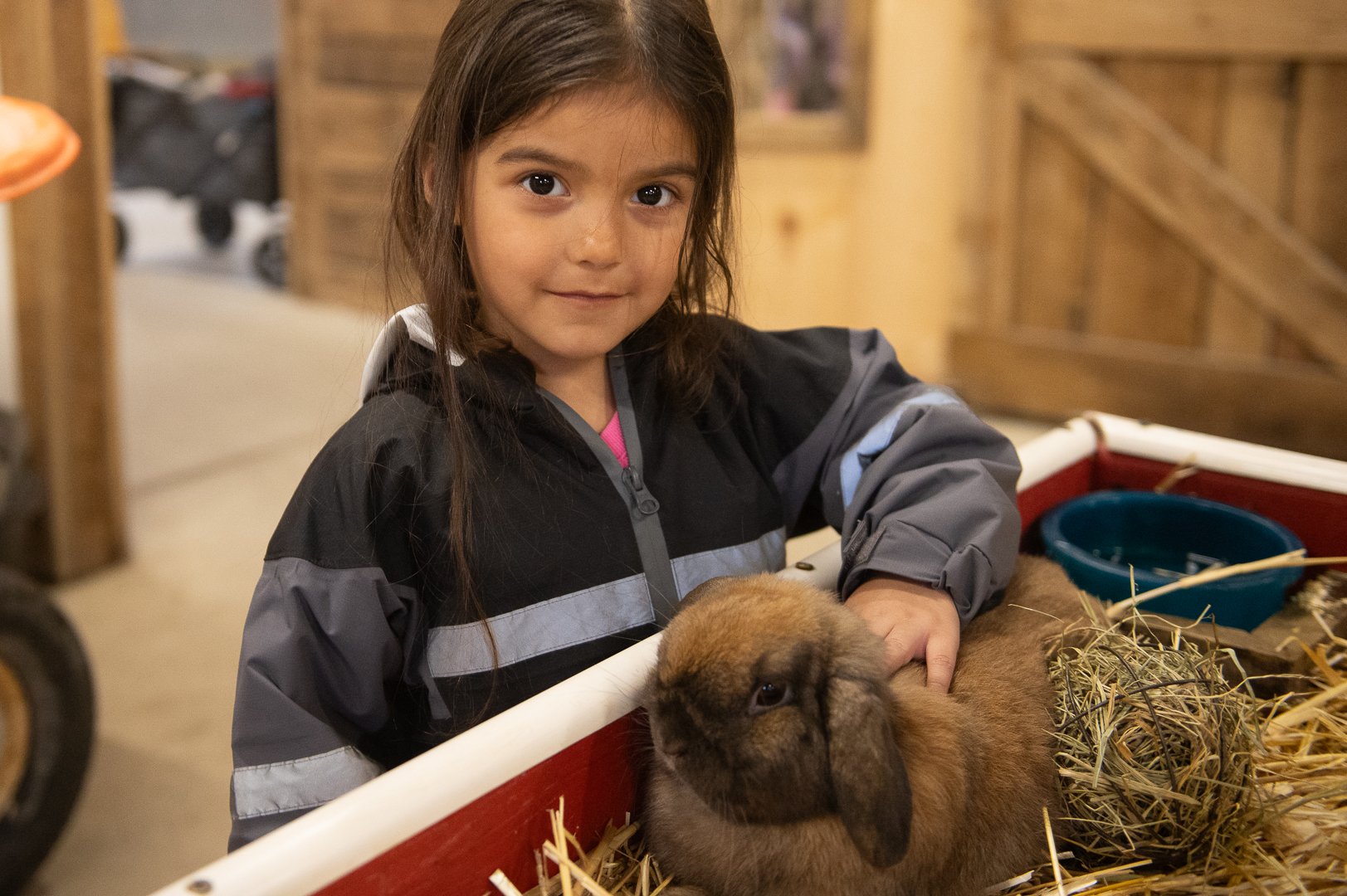 HEF Grant Spotlight: Jefferson's Tricia Koning received HEF support for a Preschool Farm experience. 

"The materials from this grant allowed us to make connections between our learning at the Critter Barn to our classroom. Students have been en