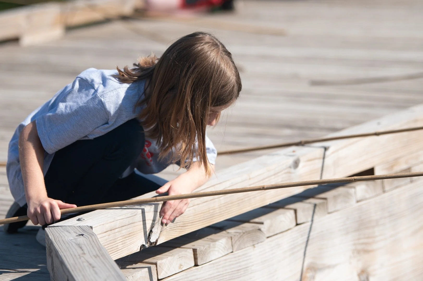 Jillian Sietsema was granted HEF funding for a 2nd Grade Spring Field Trip to the Outdoor Discovery Center. 🌲

"While students were using nets to drag/scoop water and bottom material from the pond, many organisms like green frogs, water tigers,