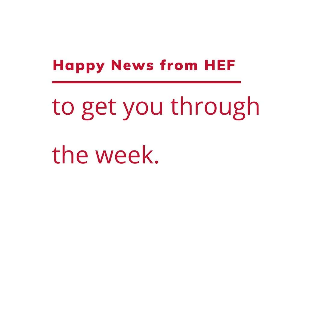 Let's hear about another grant - some happy news to get your through Wednesday!

Ann Jackson (HHS, HMS, West Elementary, HHE, HLA, Jefferson, HEC) received HEF funding for "Enhancing Student Emotional Regulation and Resilience Through Biofeedbac