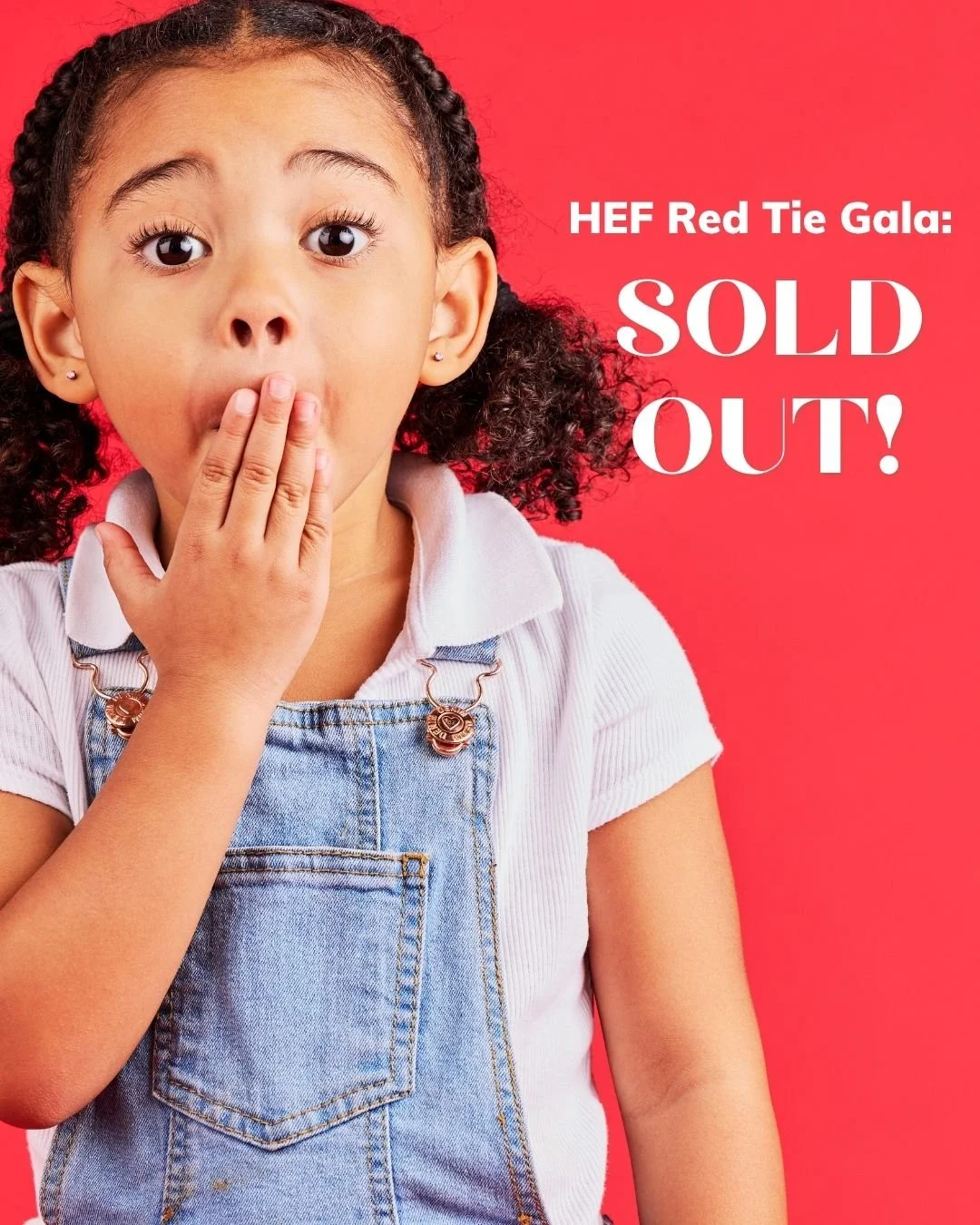 SOLD OUT! Thank you to 300 people who helped make that happen! Don't worry - if you didn't get a ticket, you can secure a free volunteer slot on HEF.LUDUS.COM and help at the Gala AND enjoy dinner and a great evening. Dm us for details and THANK YOU 