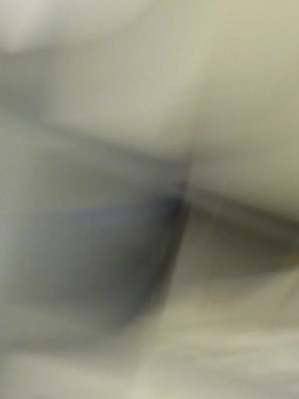 RH031