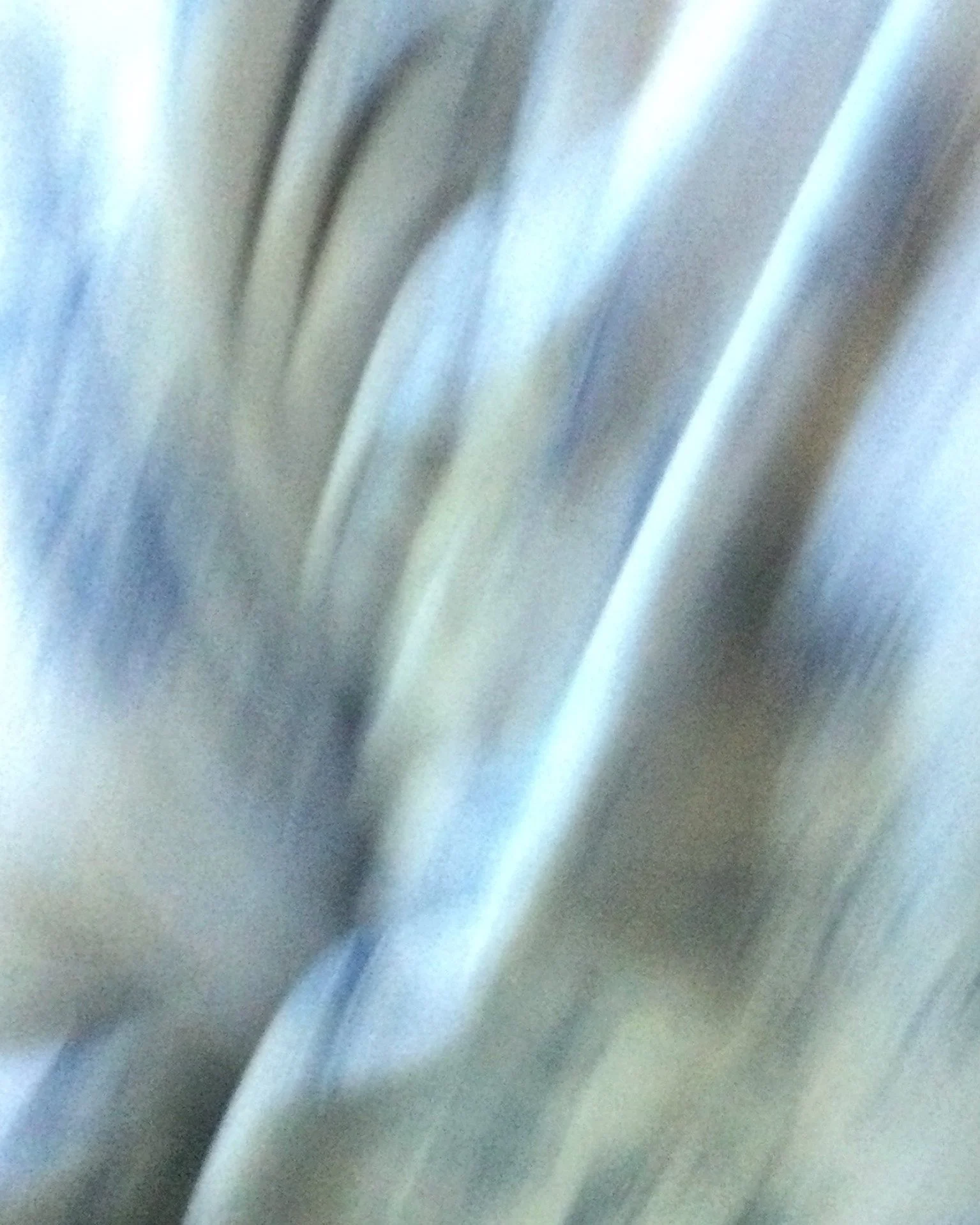 RH019