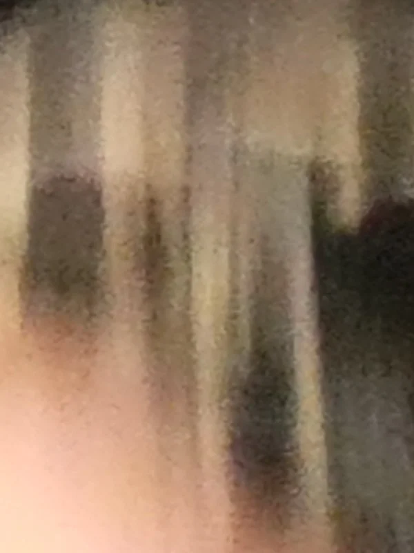 RH027