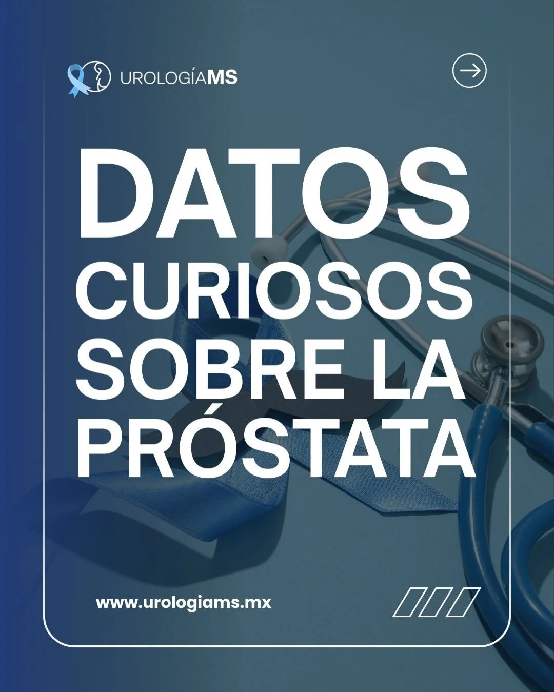 🔍 &iexcl;Conoce tu salud desde la ra&iacute;z!
La pr&oacute;stata es peque&ntilde;a, pero su papel en la salud masculina es enorme. Desde su impacto en la fertilidad hasta las innovaciones para su diagn&oacute;stico y tratamiento, entenderla puede m