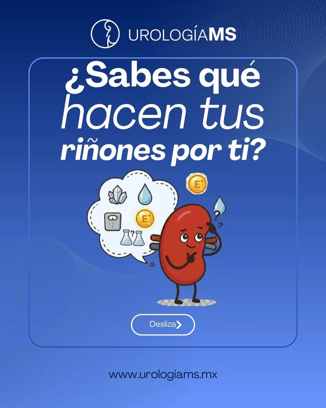 Los ri&ntilde;ones realizan funciones esenciales para el buen funcionamiento del organismo.

Filtran la sangre, ayudan a regular los l&iacute;quidos del cuerpo y contribuyen al control de la presi&oacute;n arterial.

Cuidar tu salud renal es una part