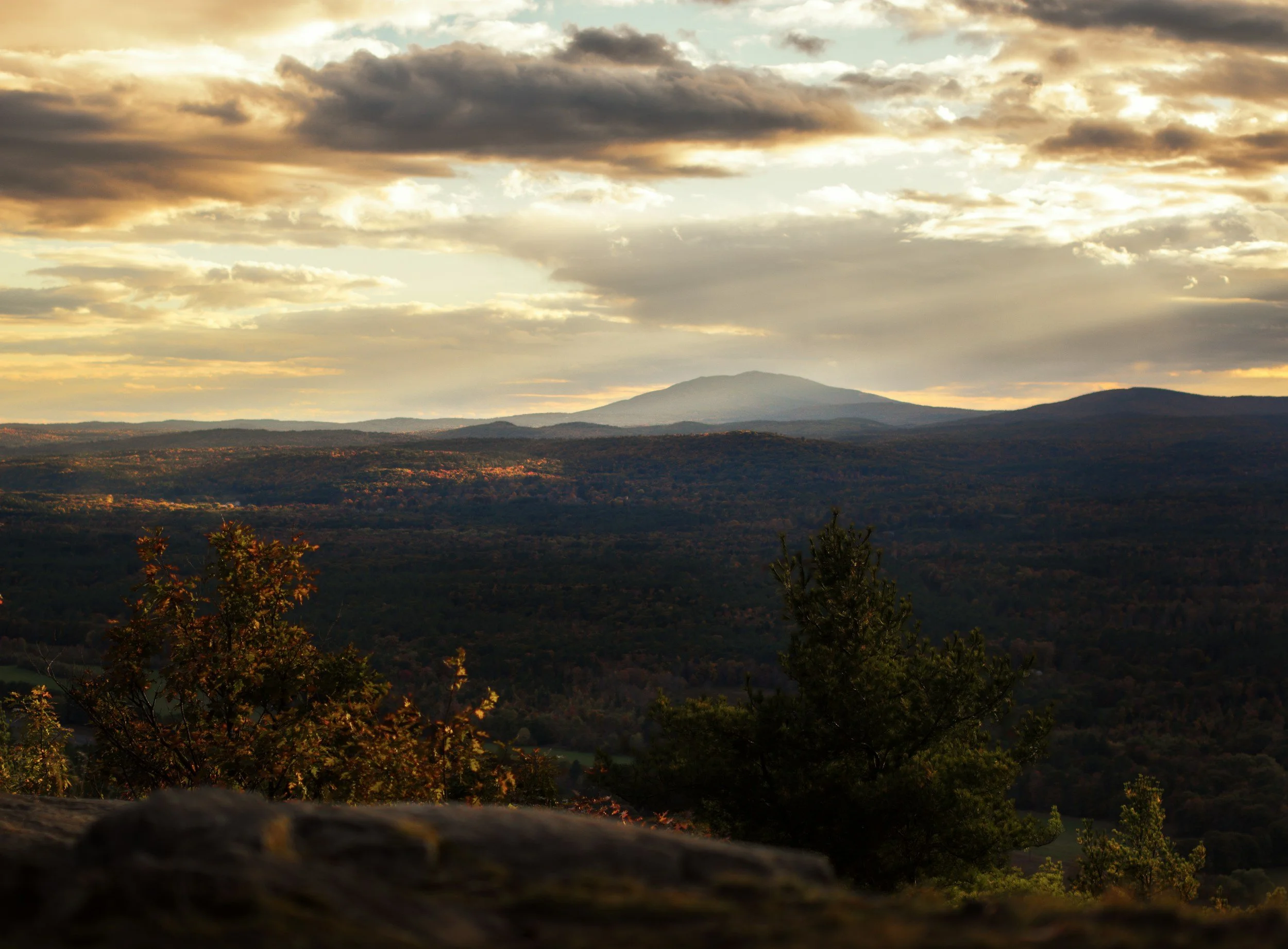 Dear Mentor, I feel unnoticed.