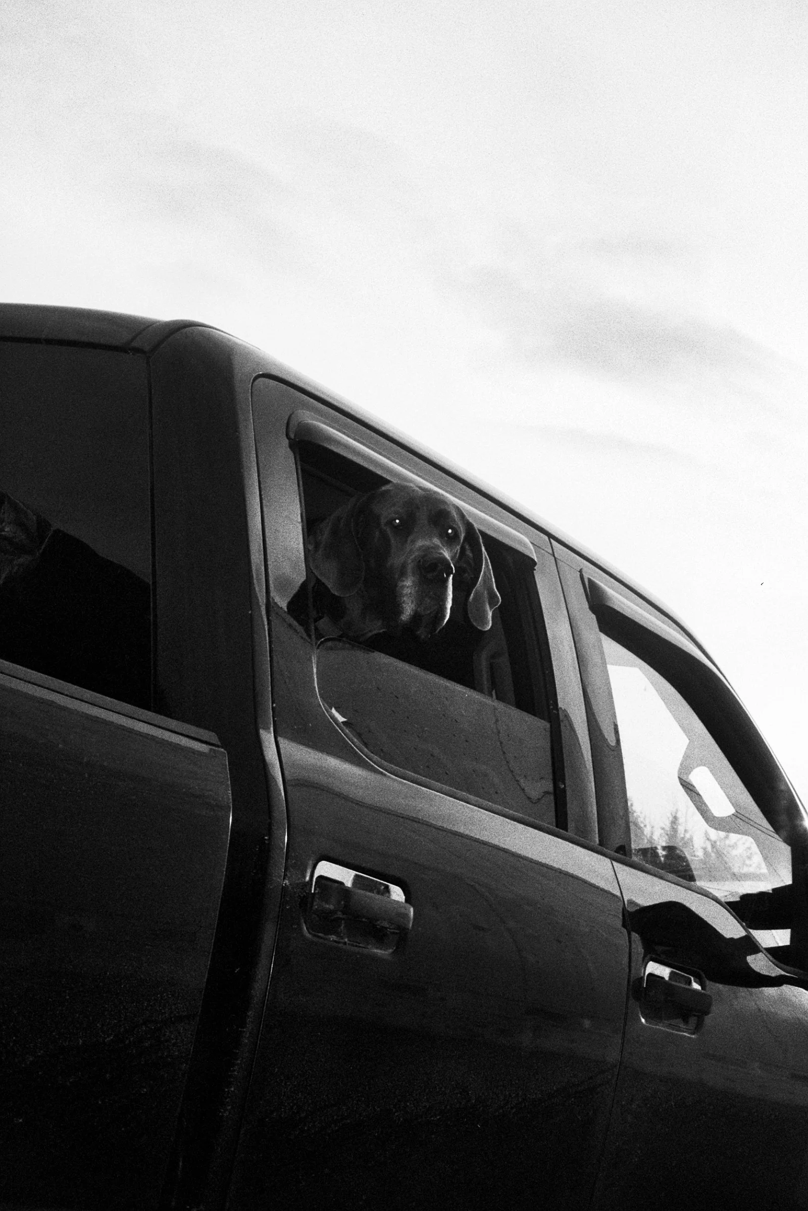 ---_00024 copy.jpg