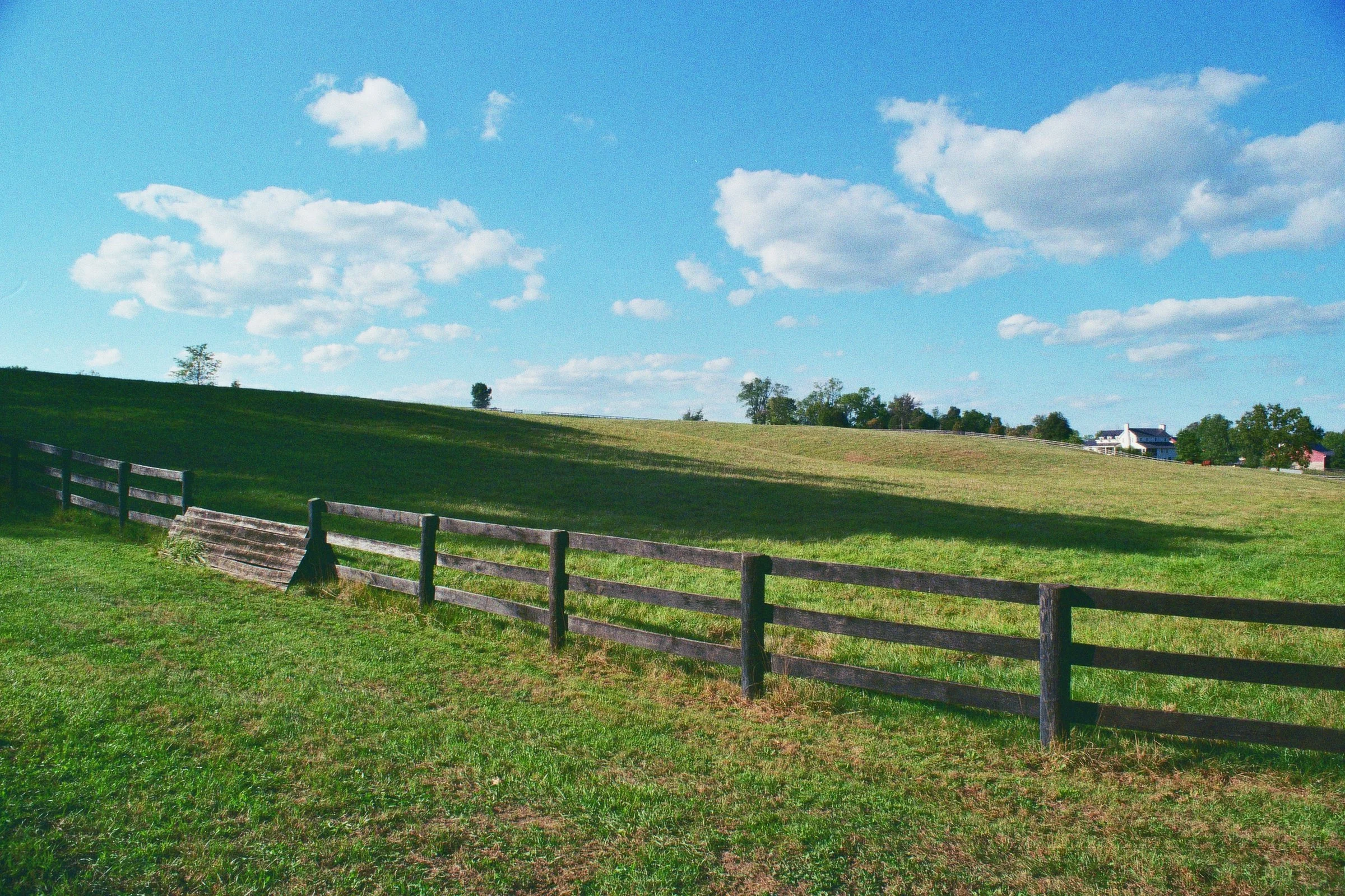 __8_01056 copy.jpg