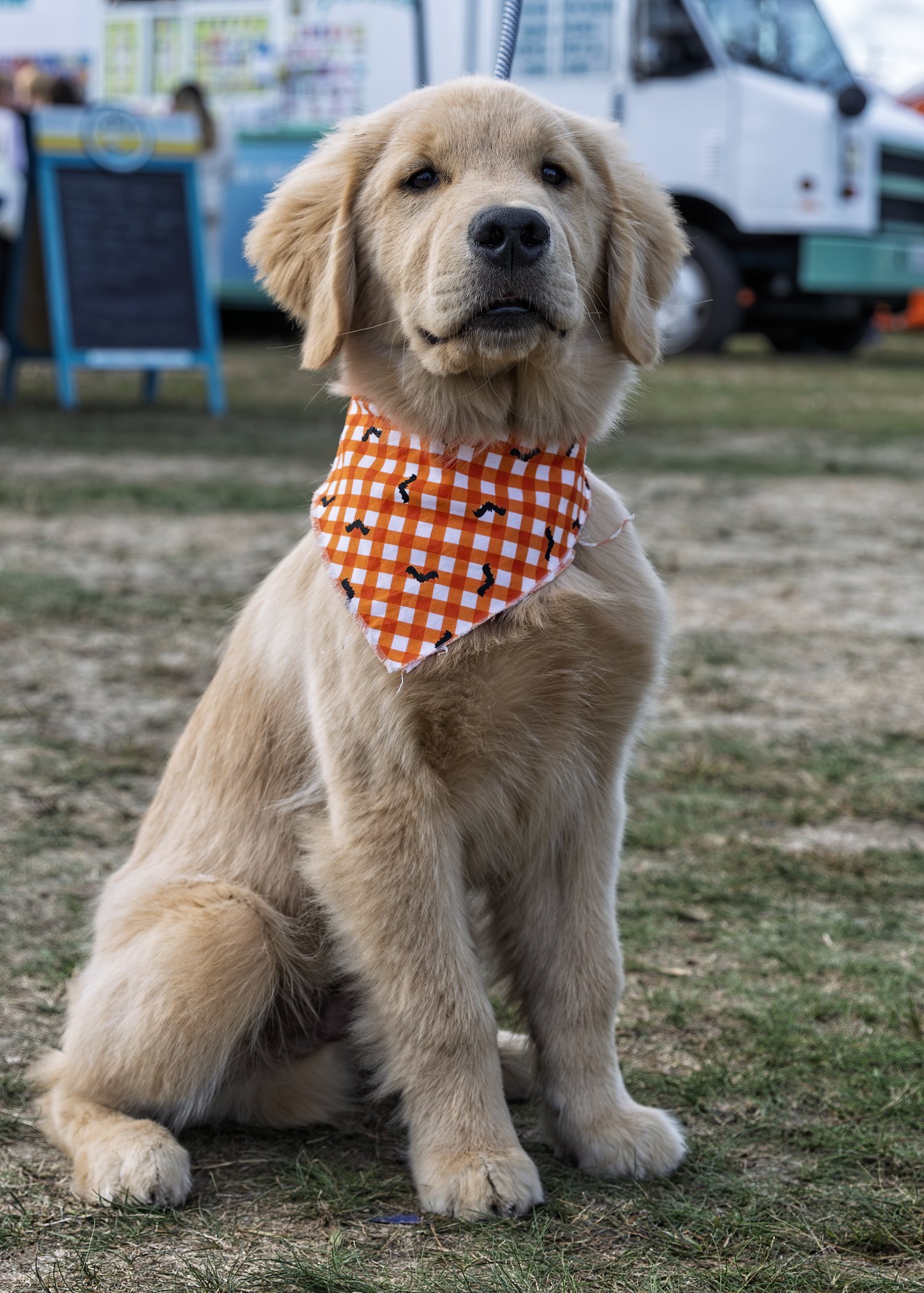 Inlet2Inlet -1805.jpg