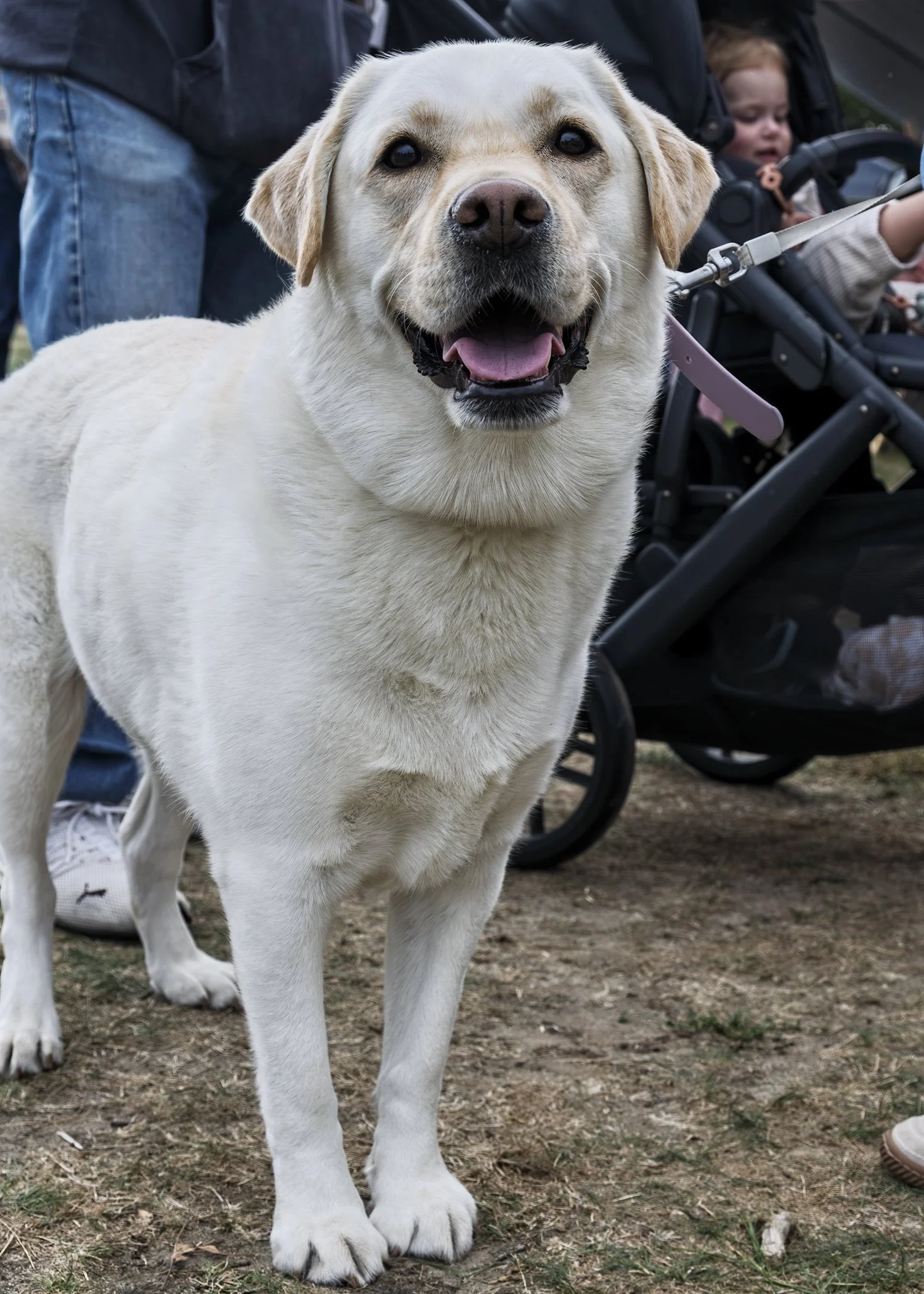 Inlet2Inlet -1595.jpg