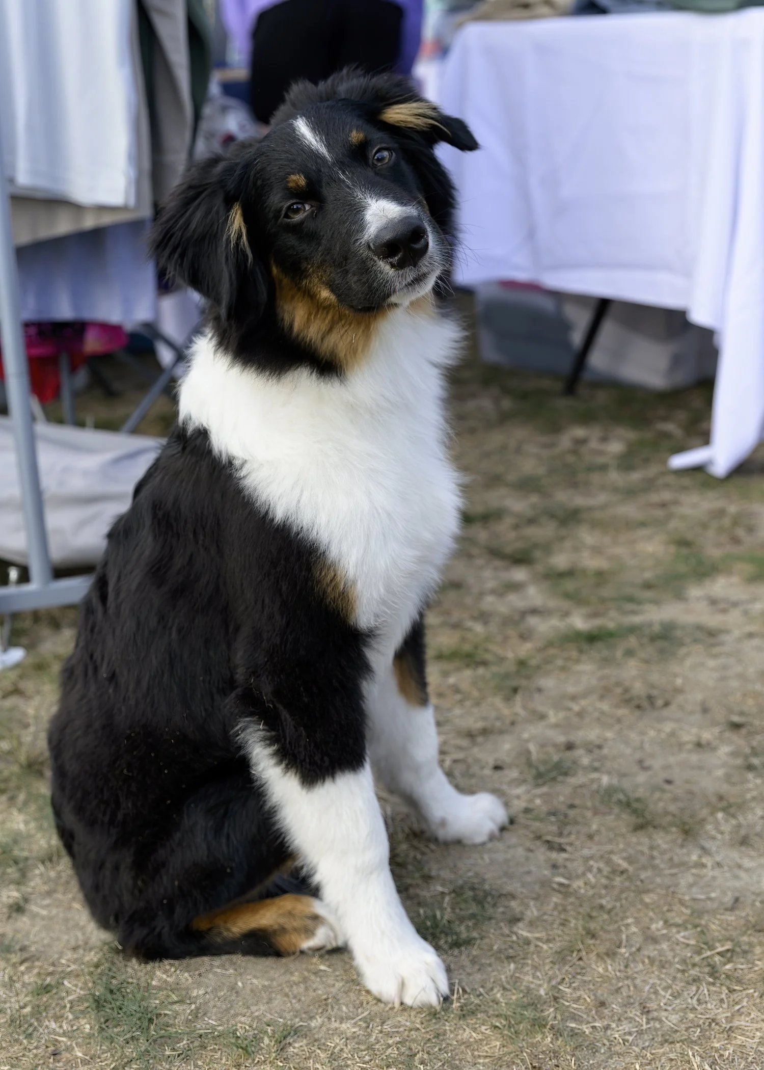 Inlet2Inlet -1821.jpg