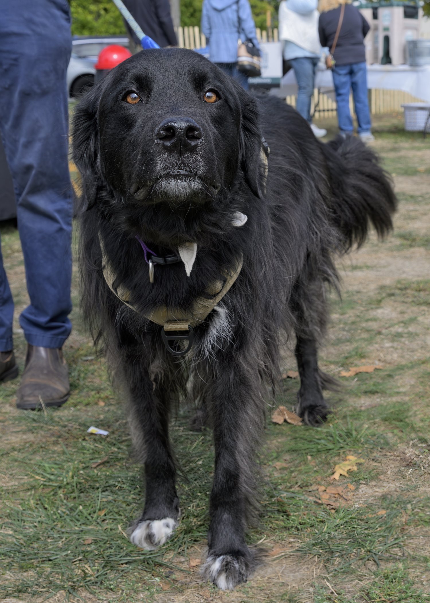 Inlet2Inlet -0986.jpg