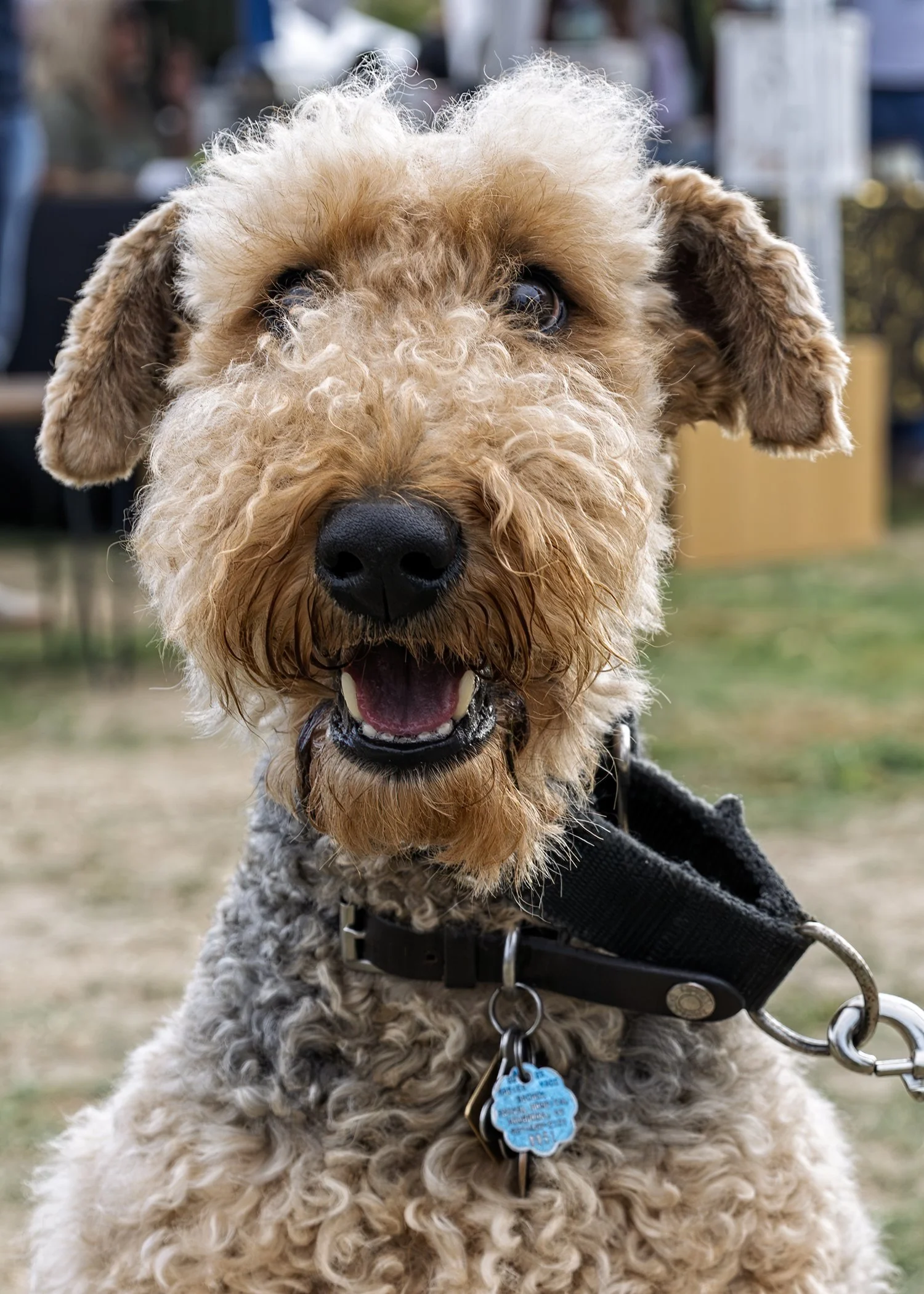 Inlet2Inlet -1586.jpg