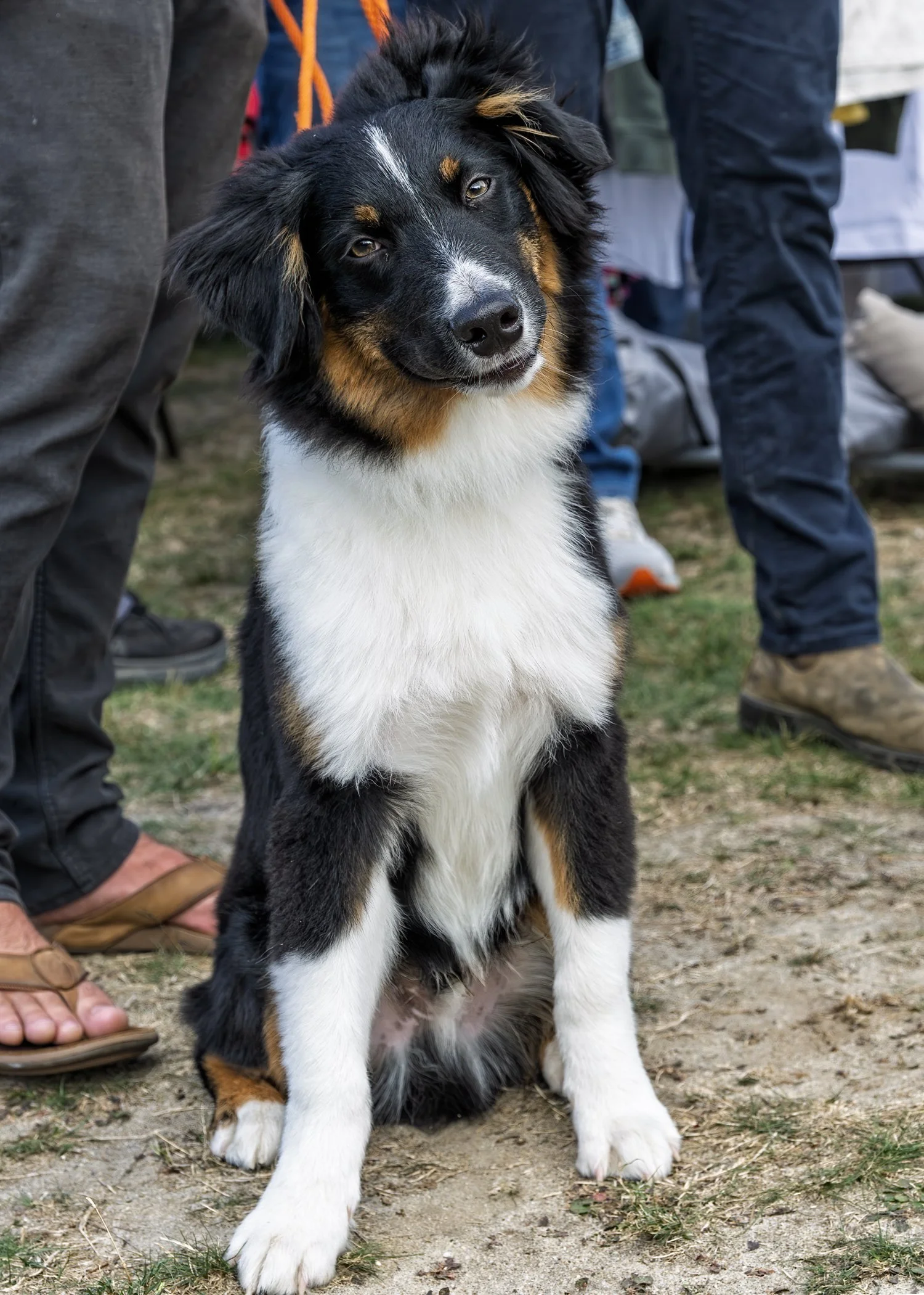 Inlet2Inlet -1178.jpg