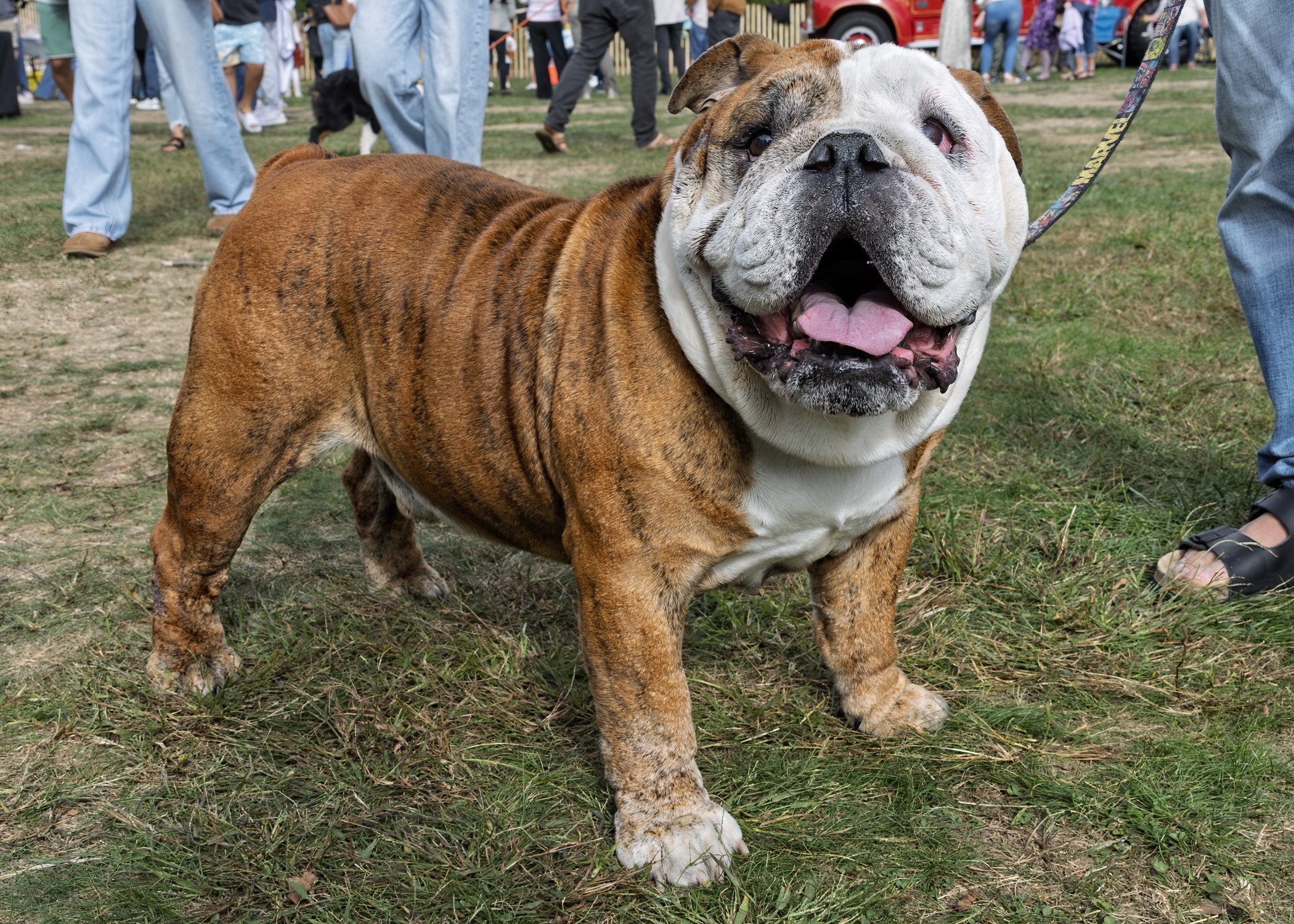 Inlet2Inlet -1346.jpg