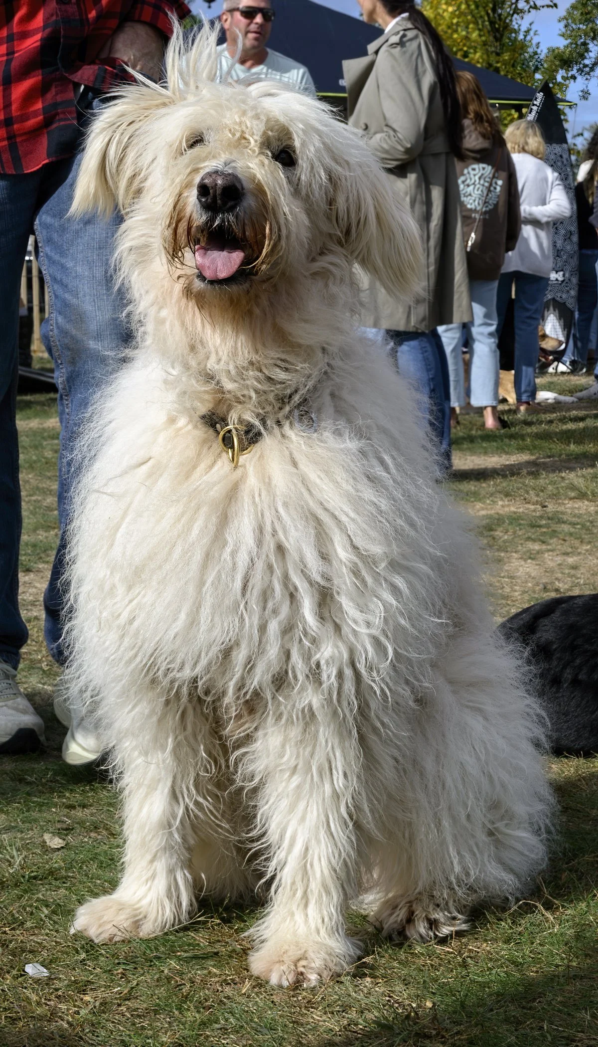 Inlet2Inlet -1443.jpg