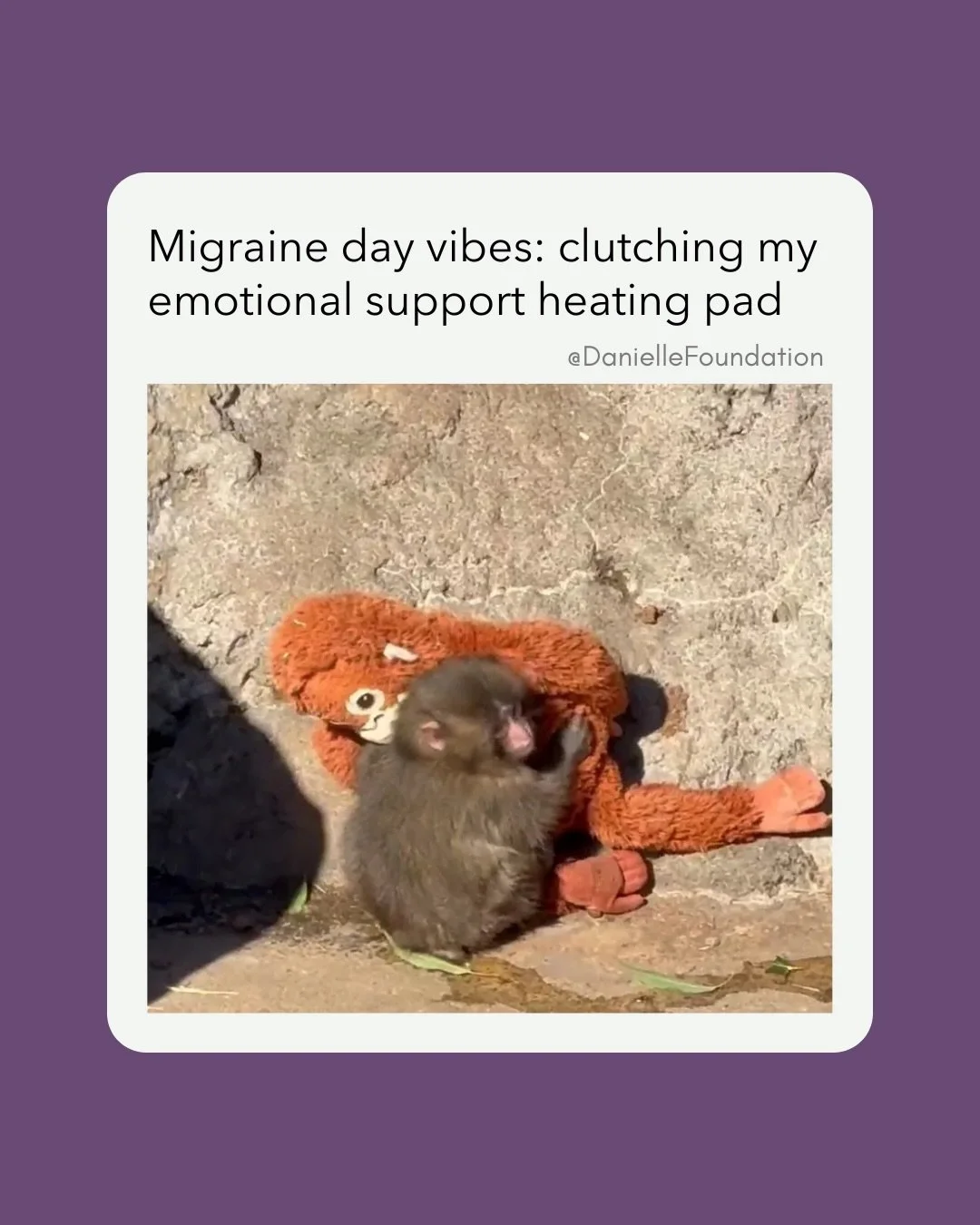 Migraine humor helps us cope and feel less alone. How about you? 

**We hope Punch finds kindness and friends. We&rsquo;re sharing these images thoughtfully, hoping they highlight compassion and understanding towards others and ourselves. 

#migraine