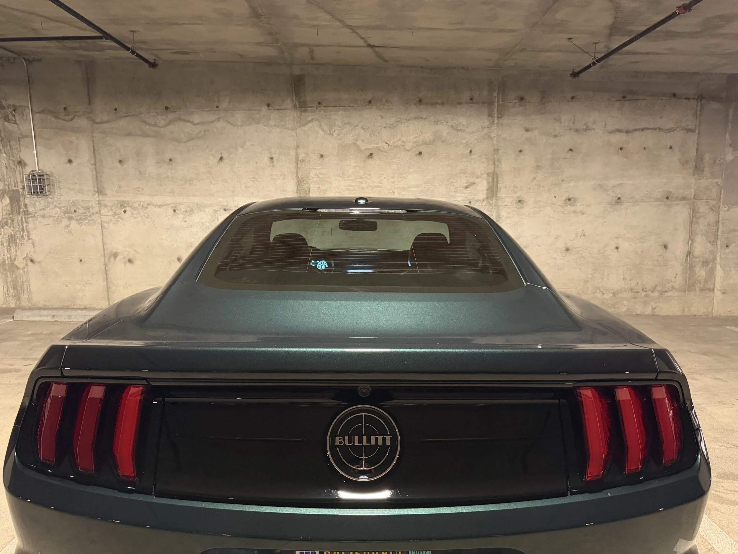 IMG_0803.jpeg