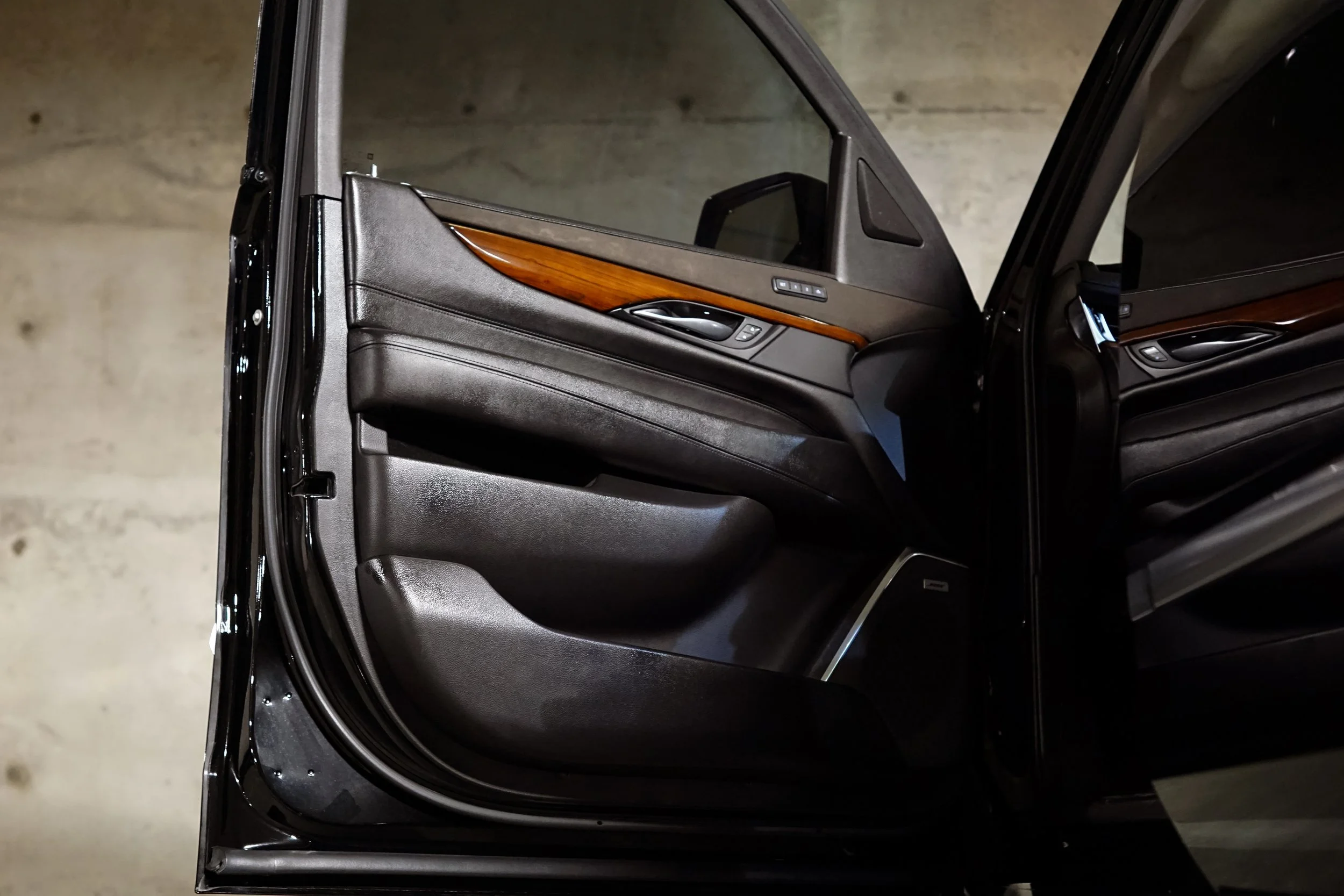 Driver Door Left.jpg