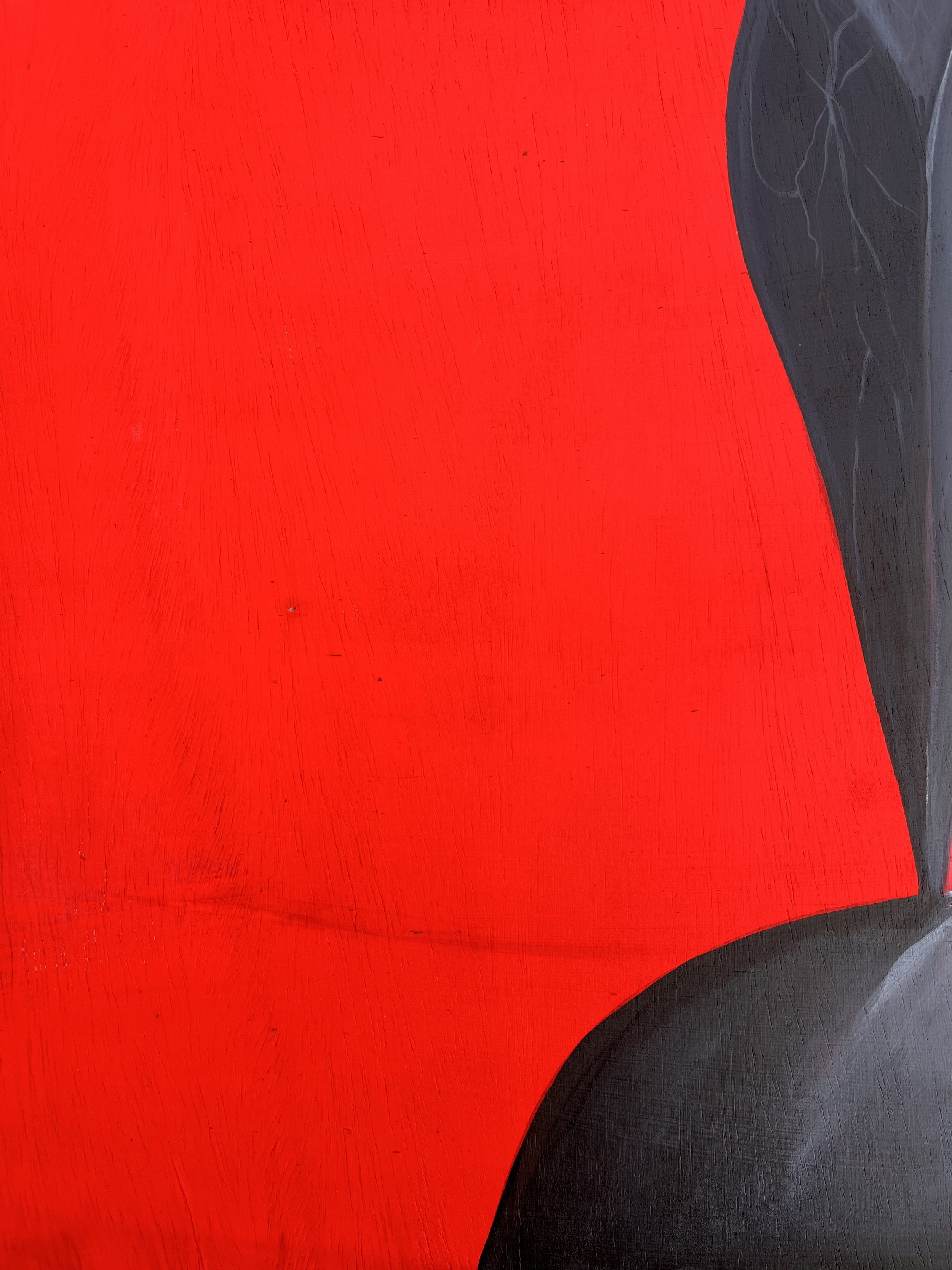fem toro rojo left.jpg